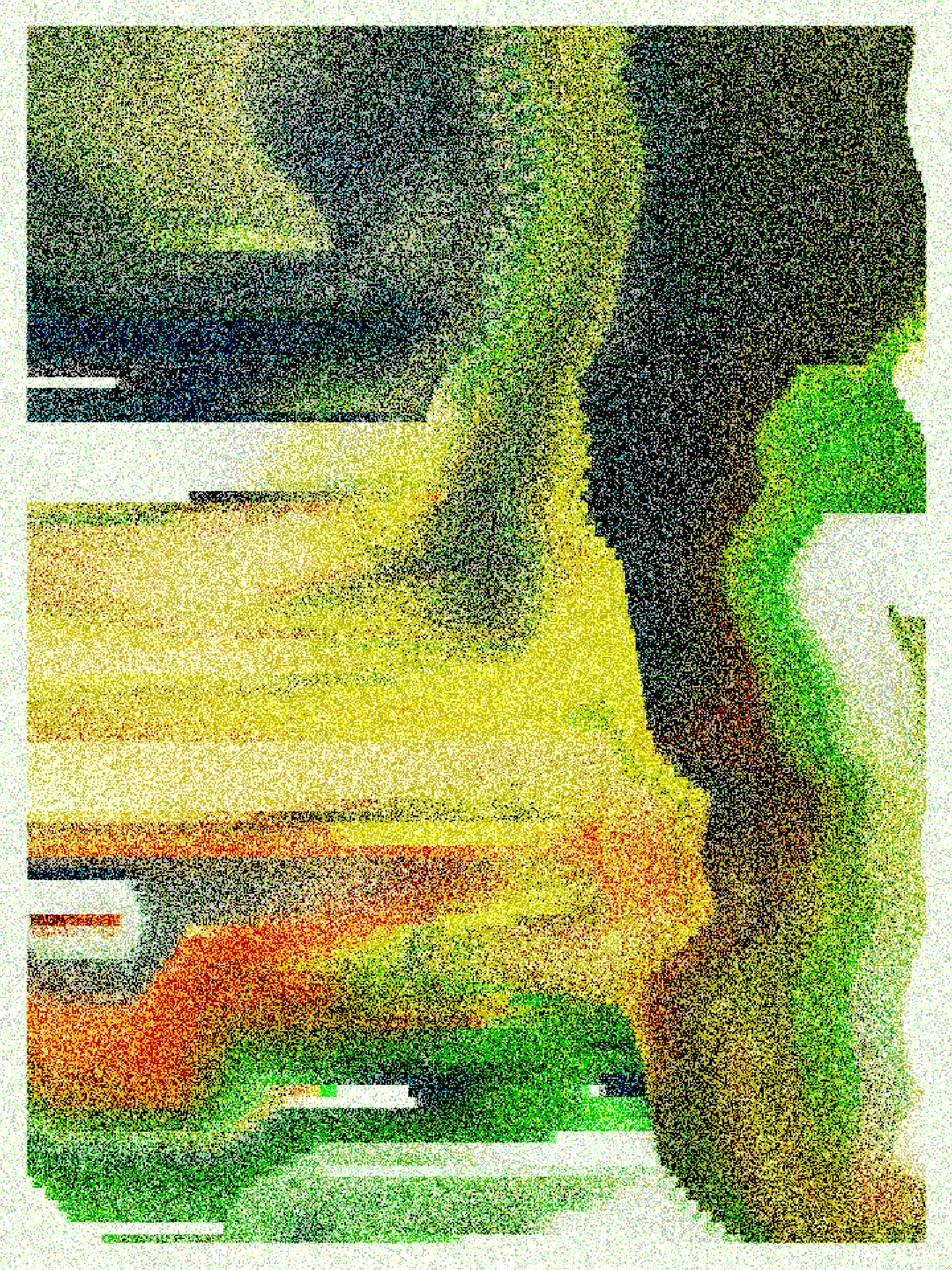RASTER