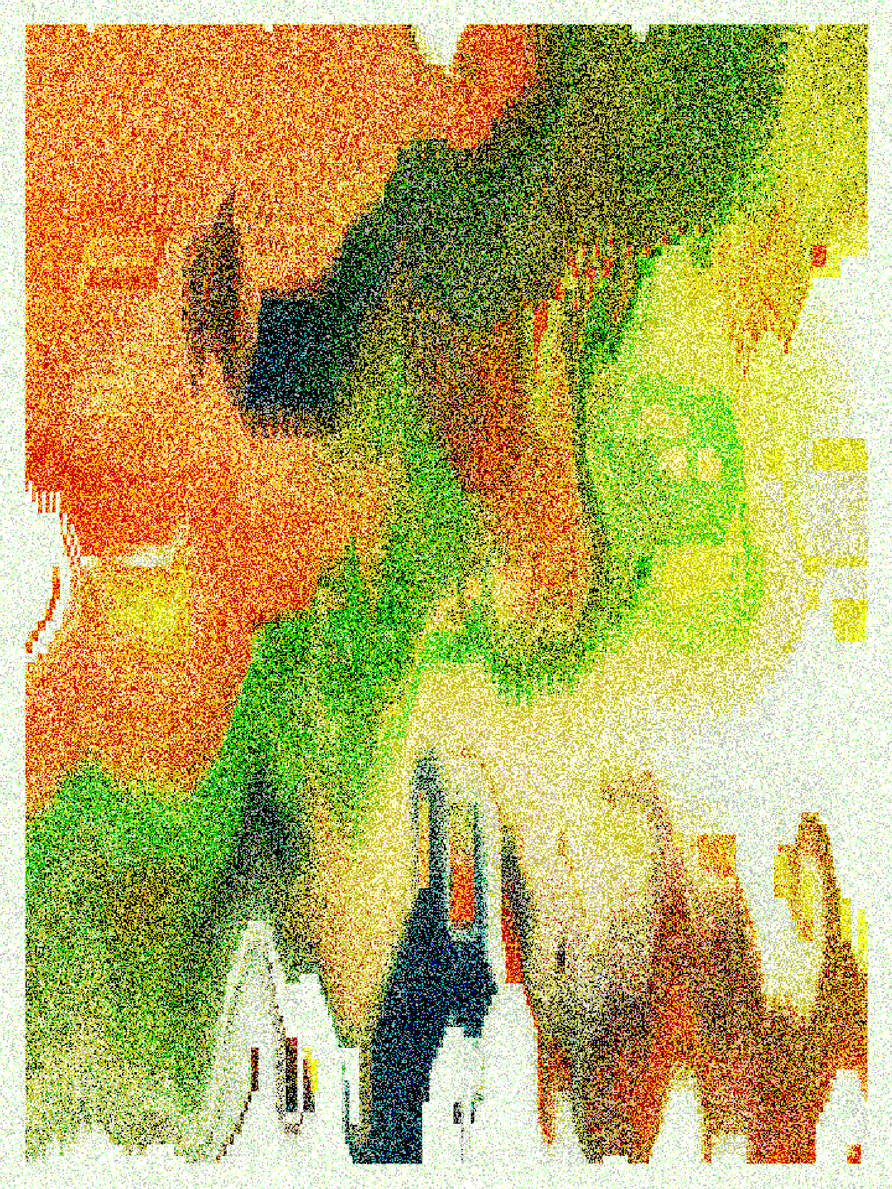 RASTER