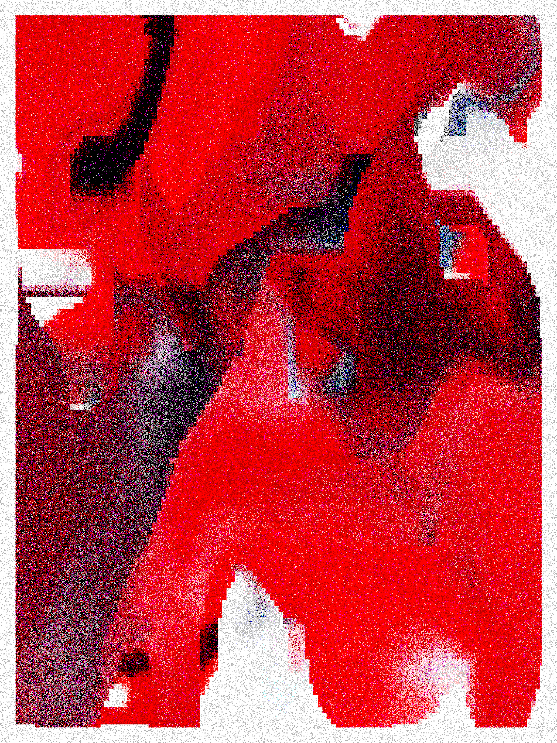 RASTER