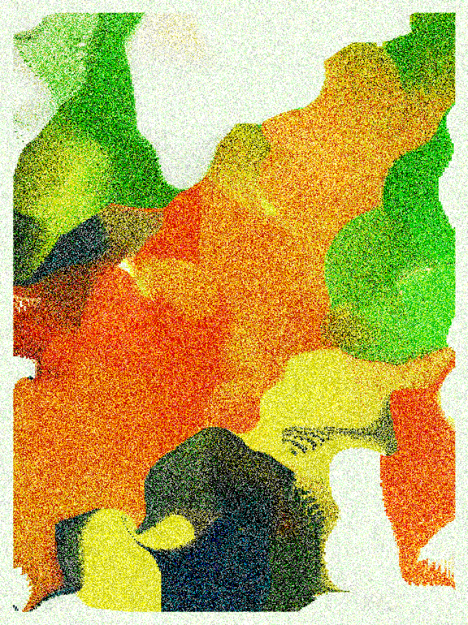 RASTER preview 2