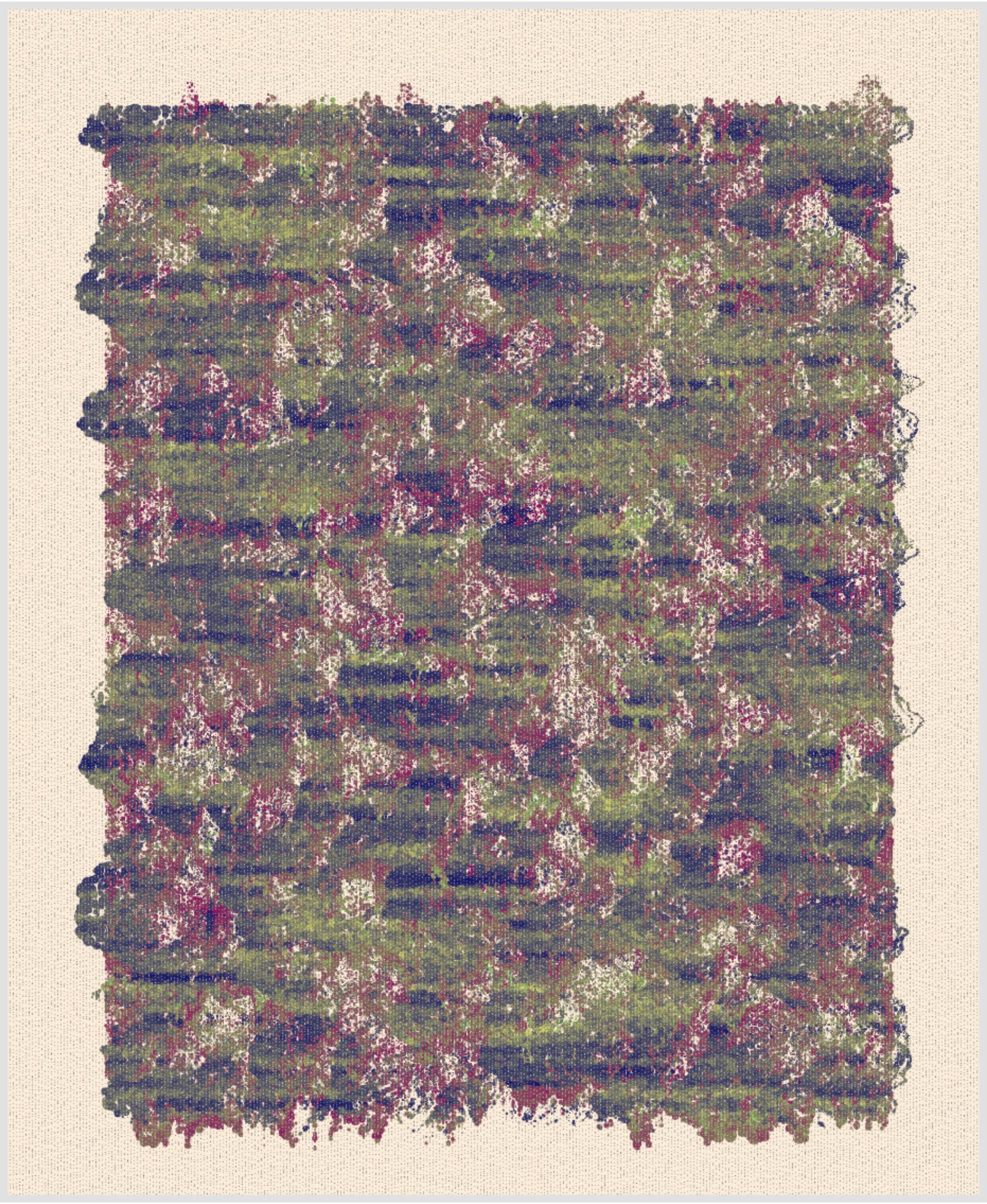 365000081