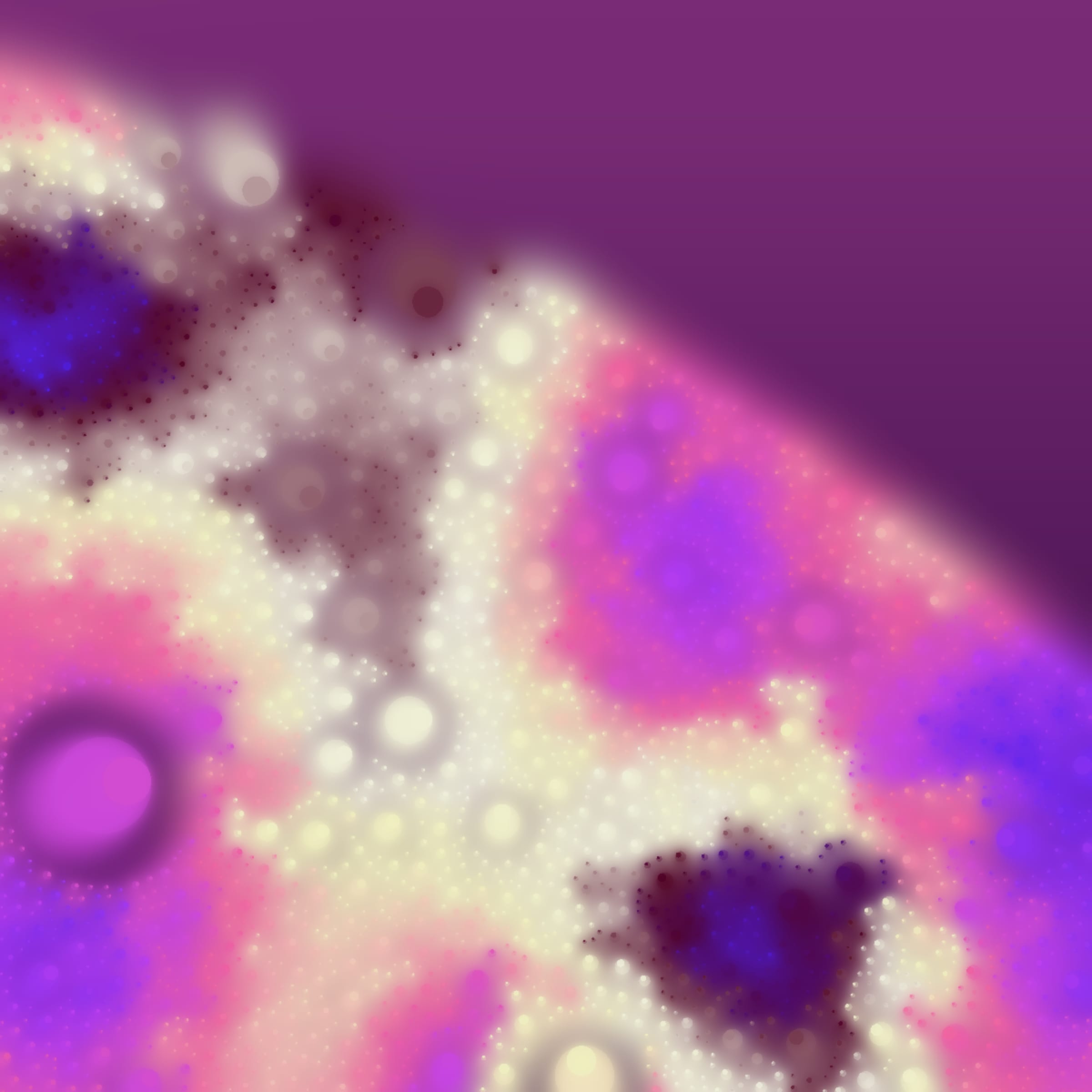 Void #42000241