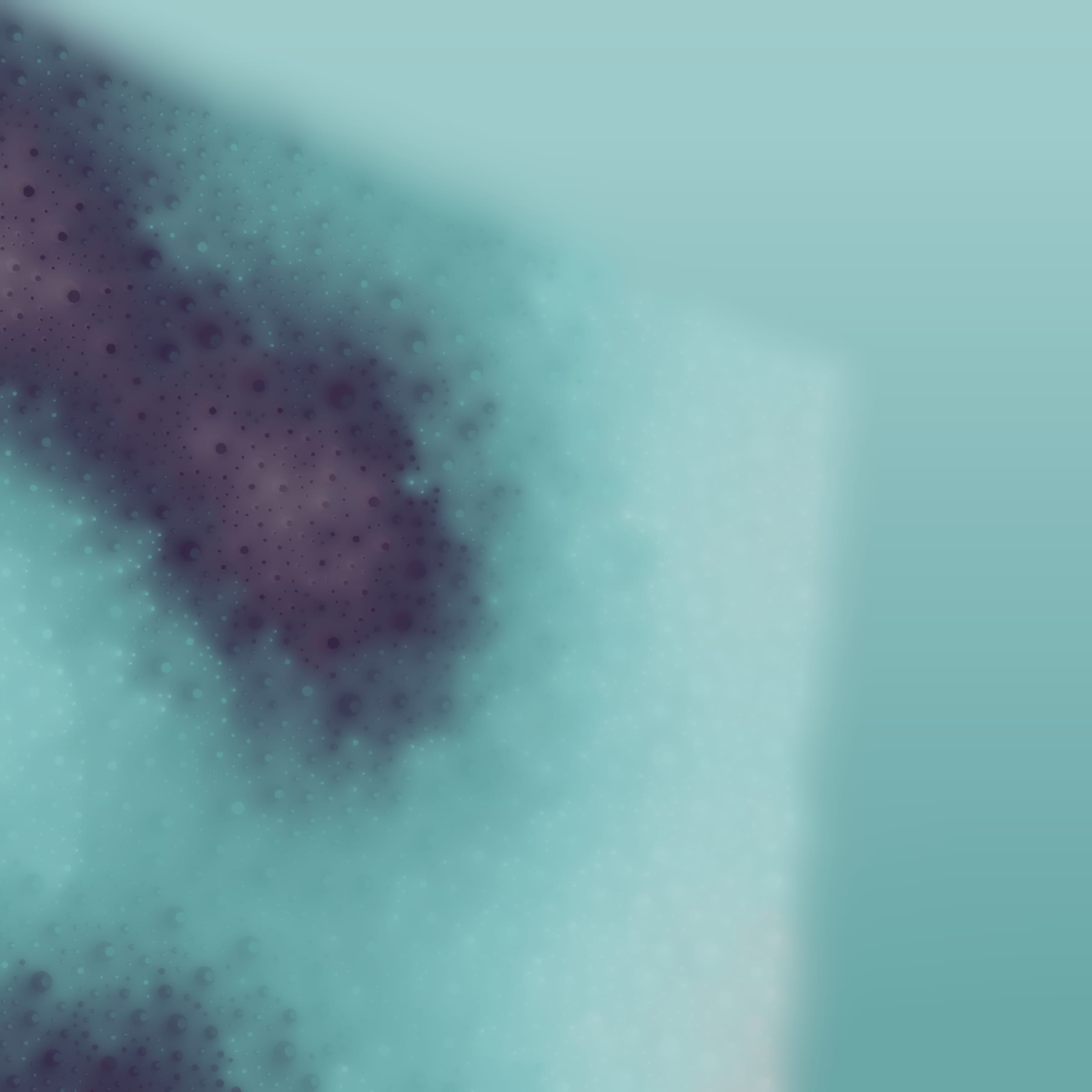Void #42000270