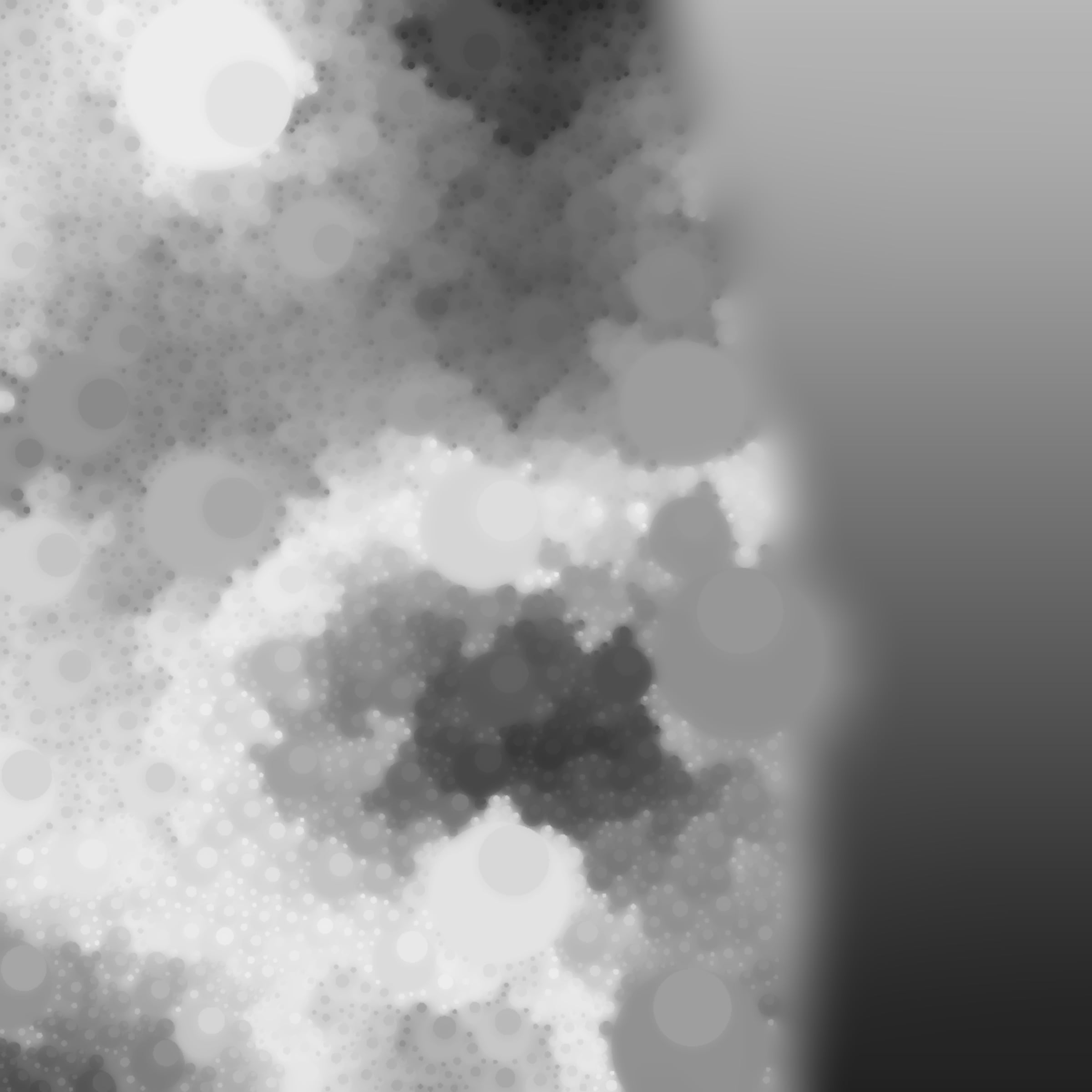 Void #42000284