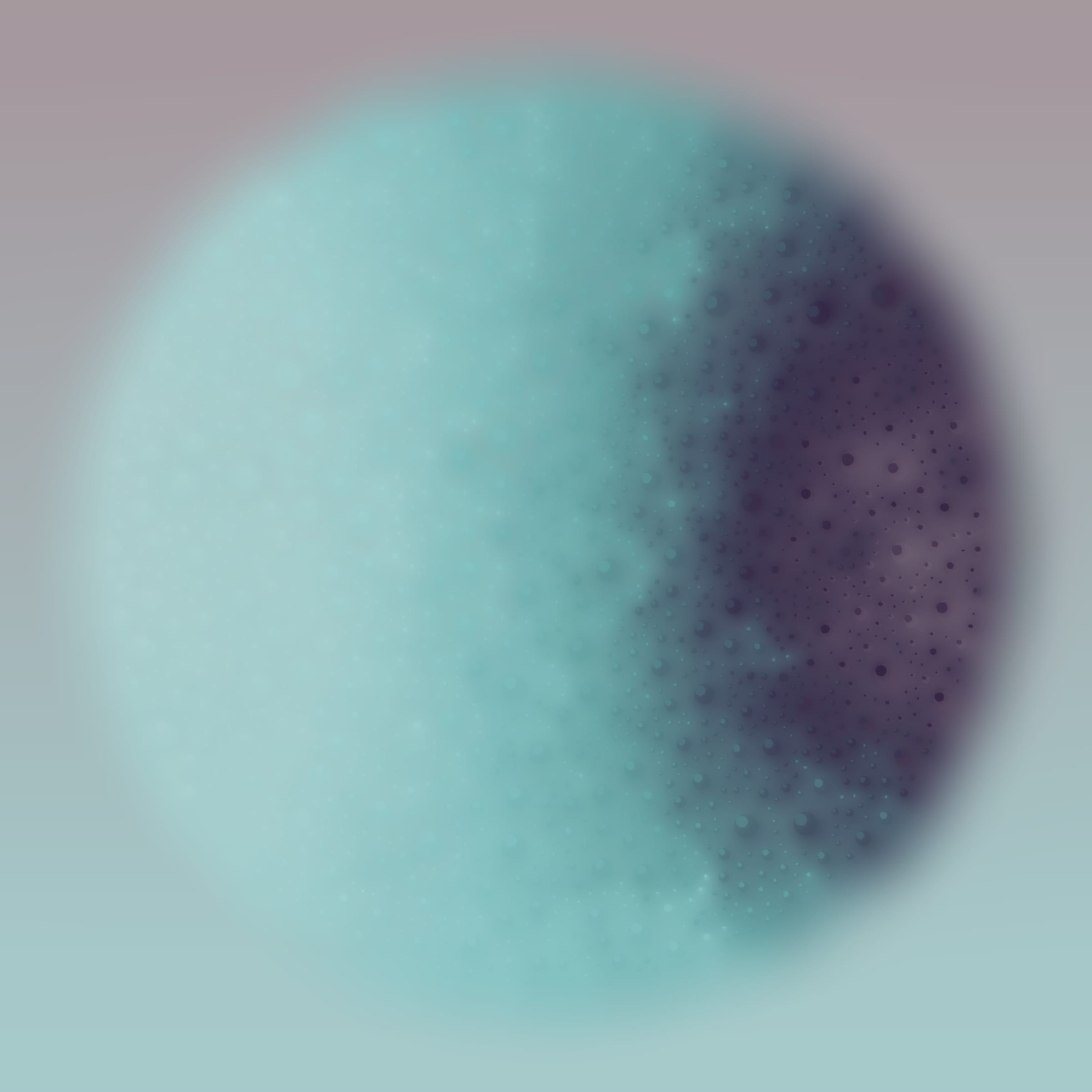 Void #42000399