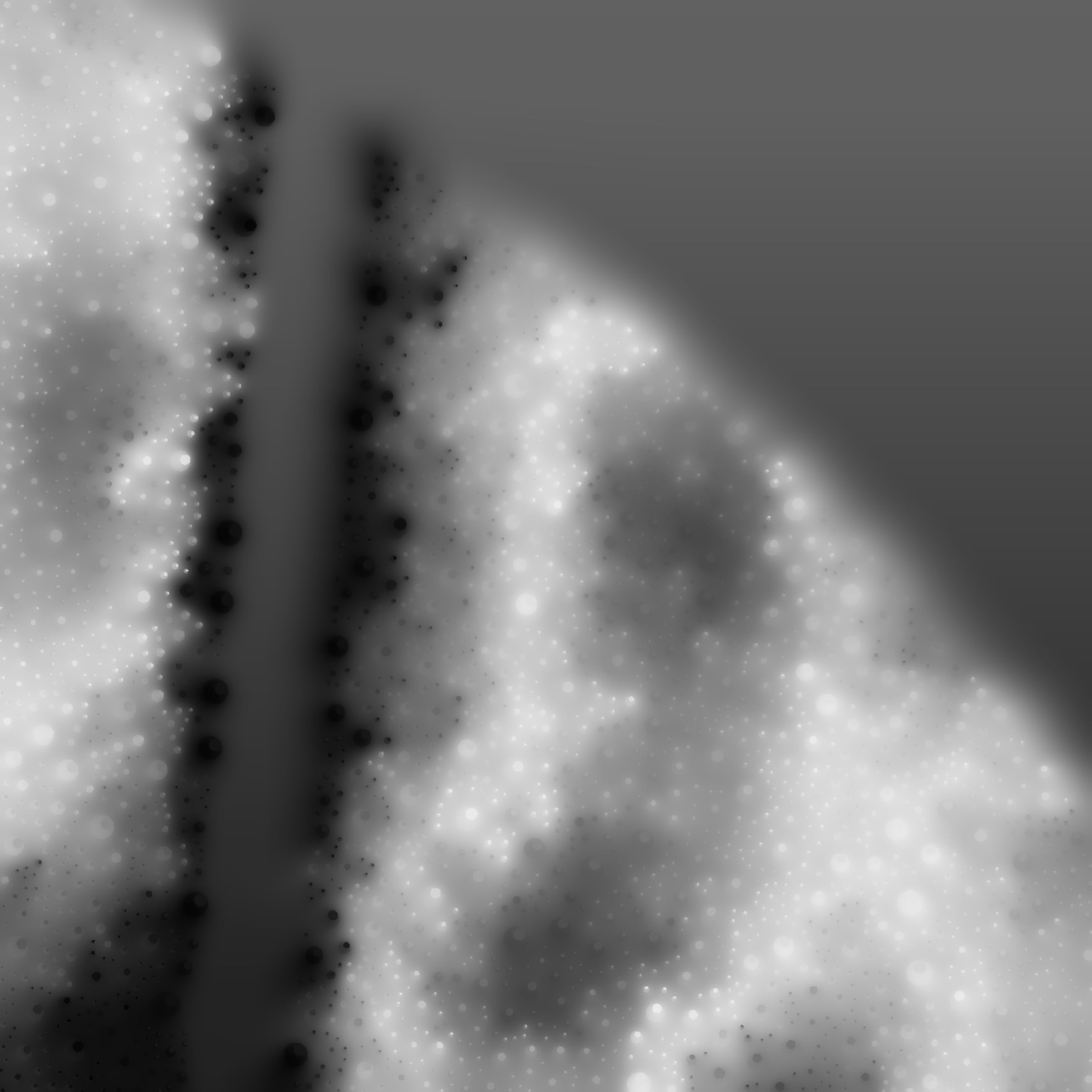 Void #42000434