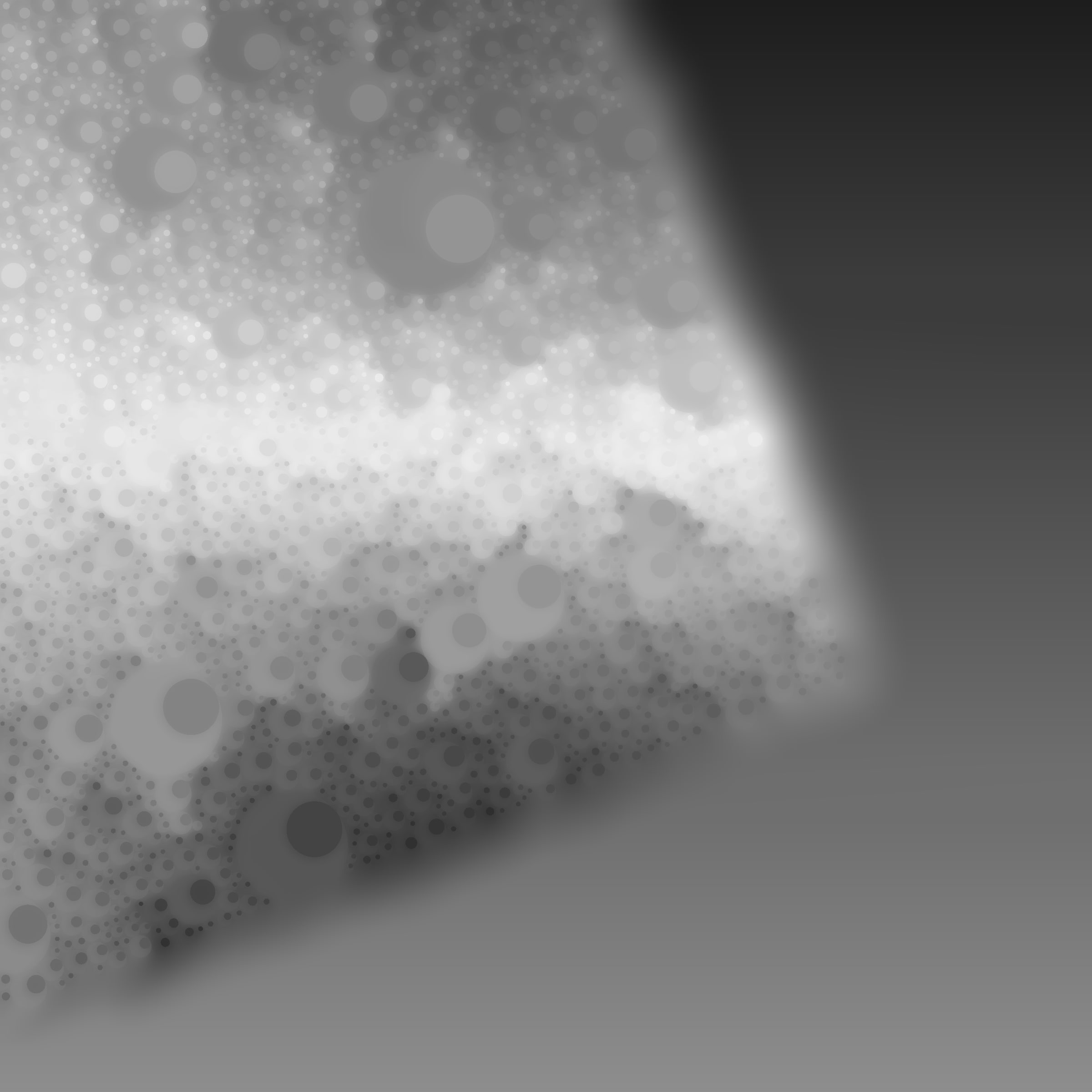 Void #42000459