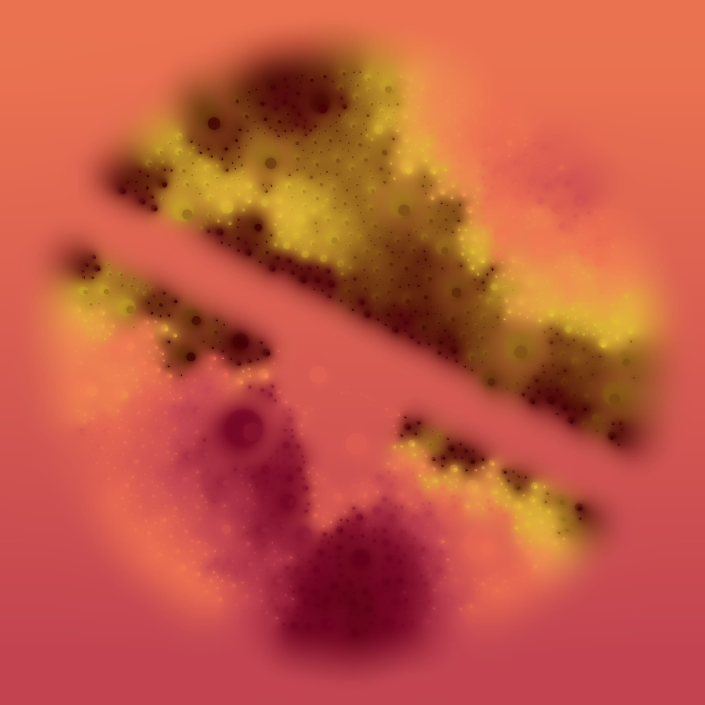 Void #42000496