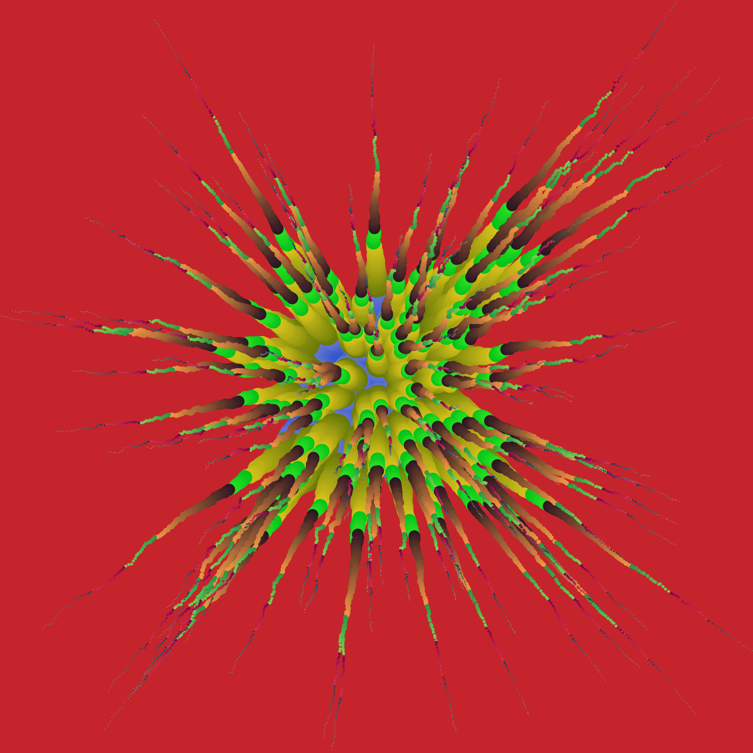 Star Flower
