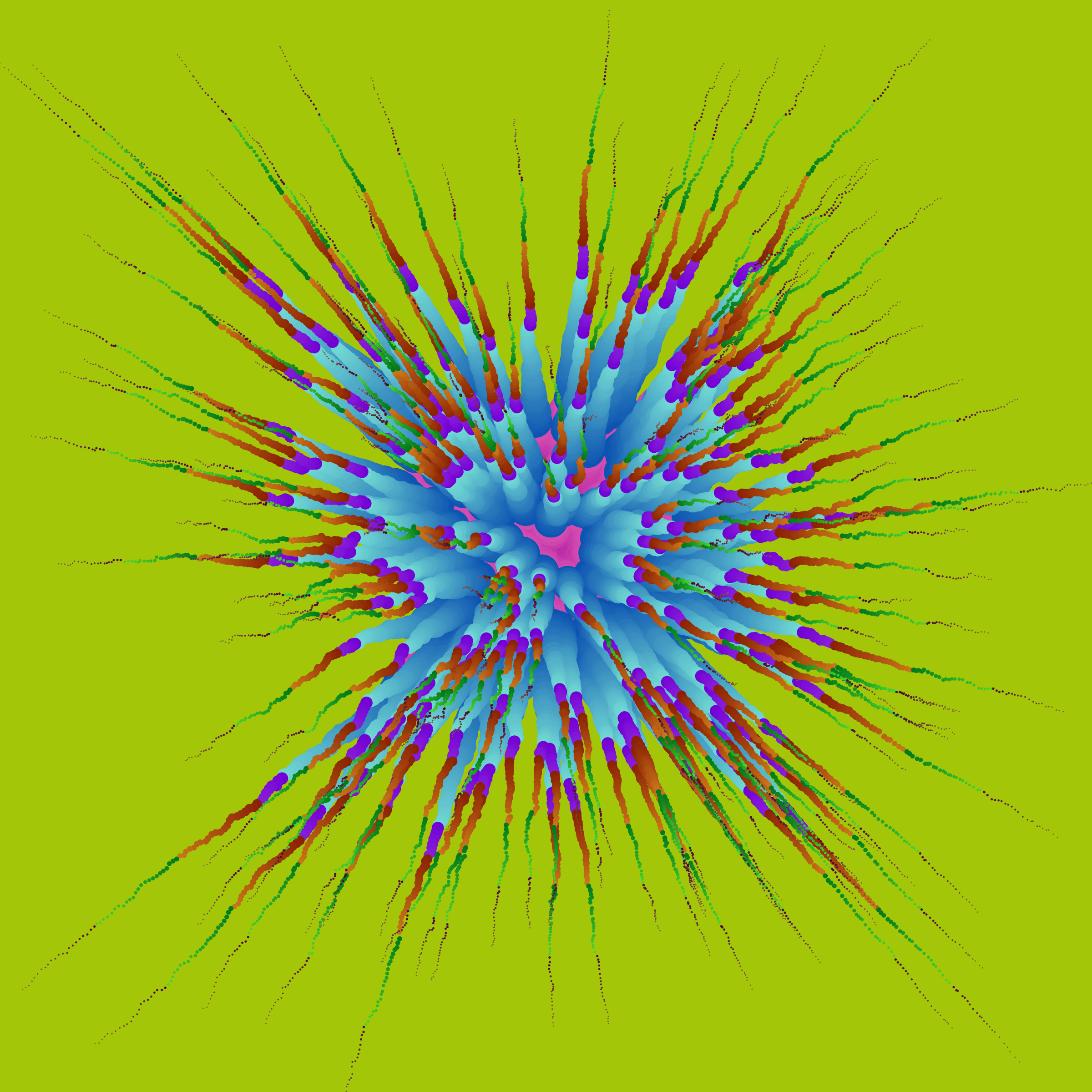 Star Flower