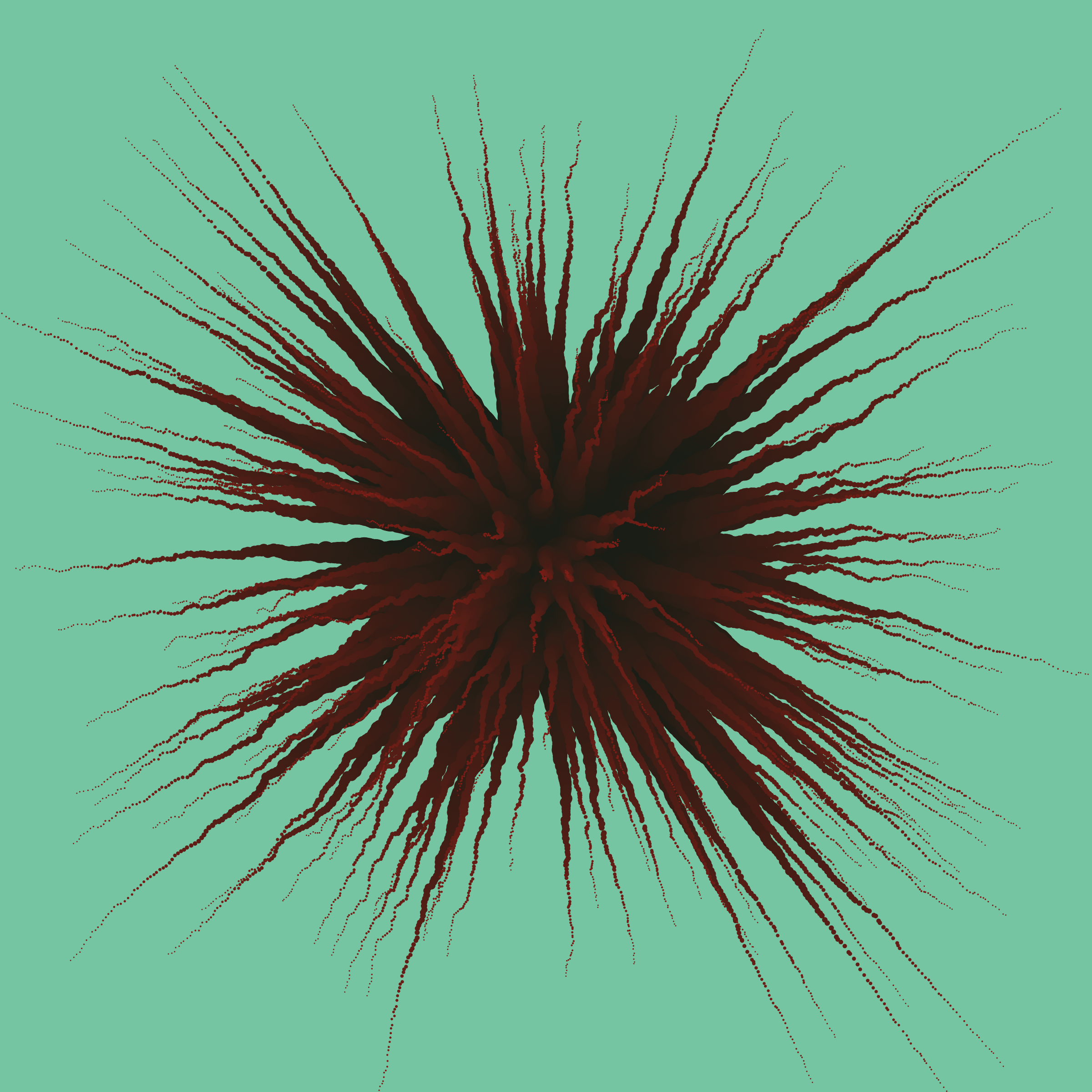 Star Flower