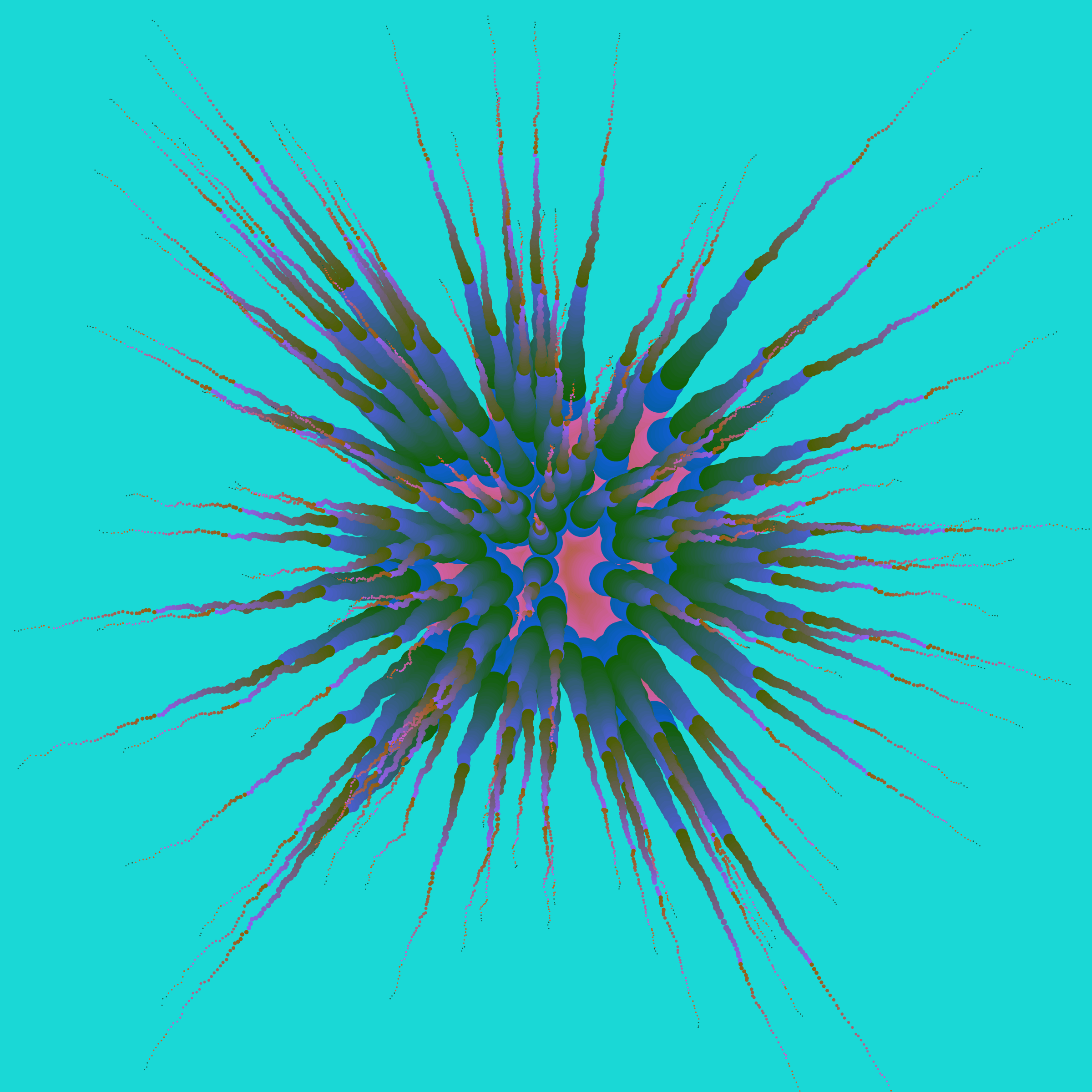 Star Flower