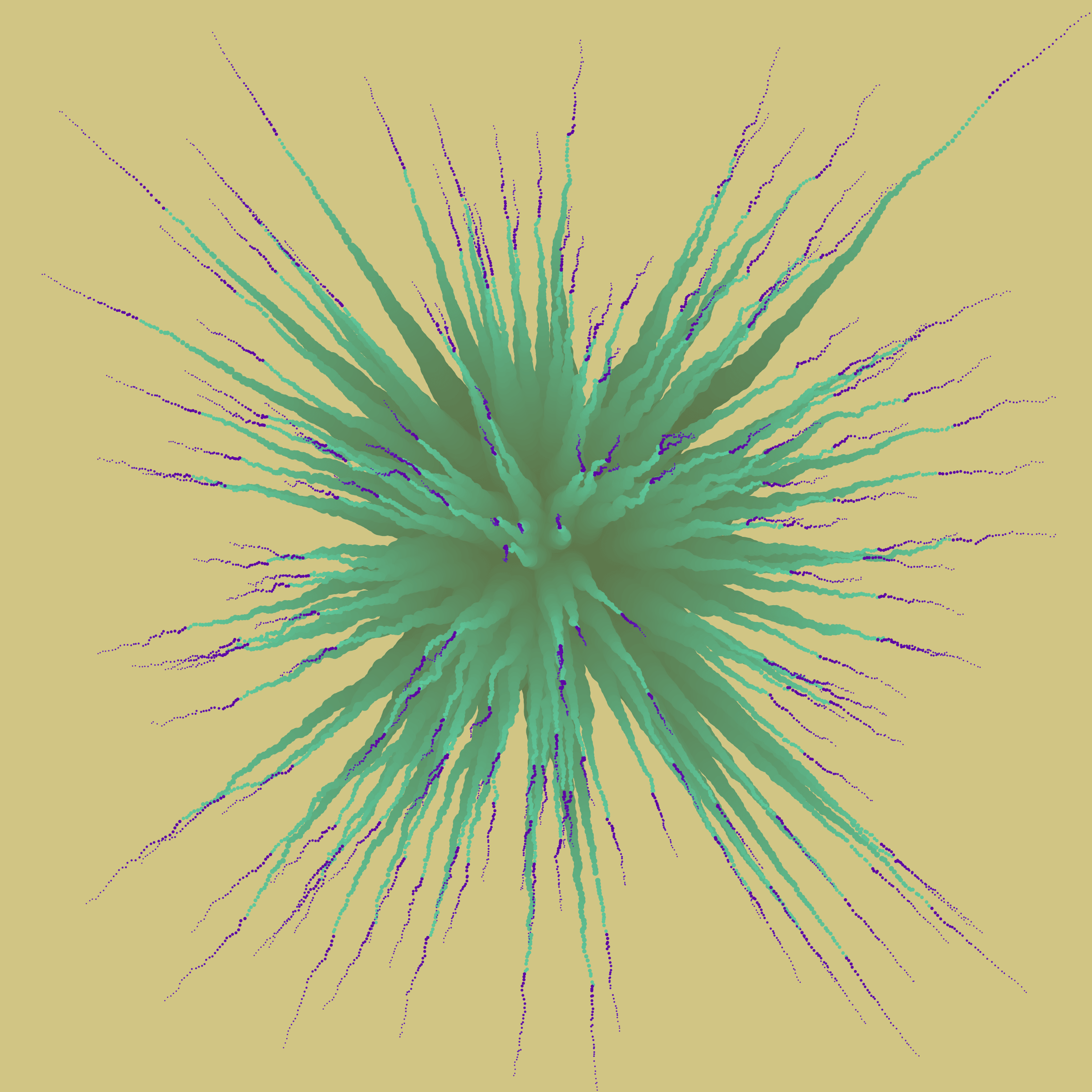 Star Flower