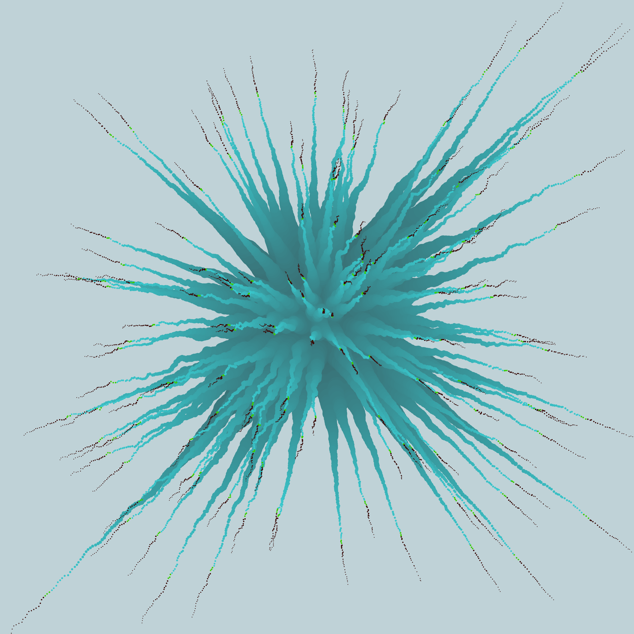 52000381