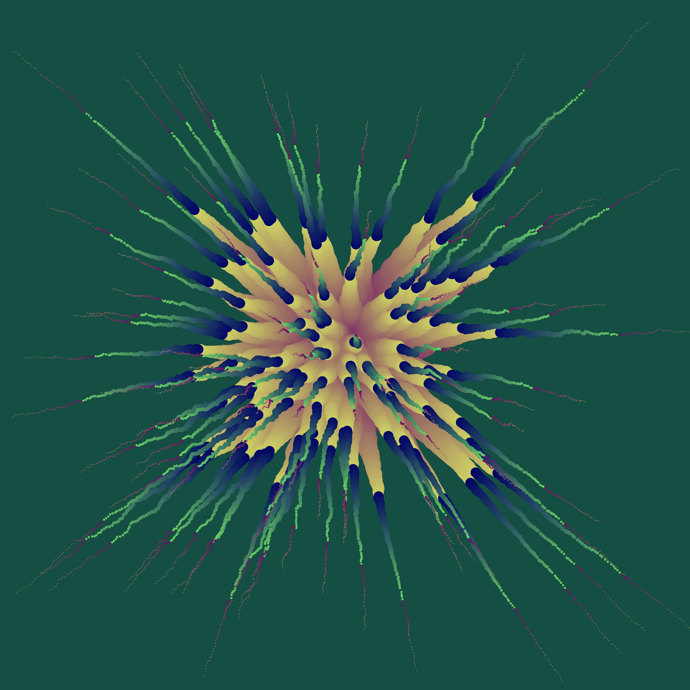 Star Flower