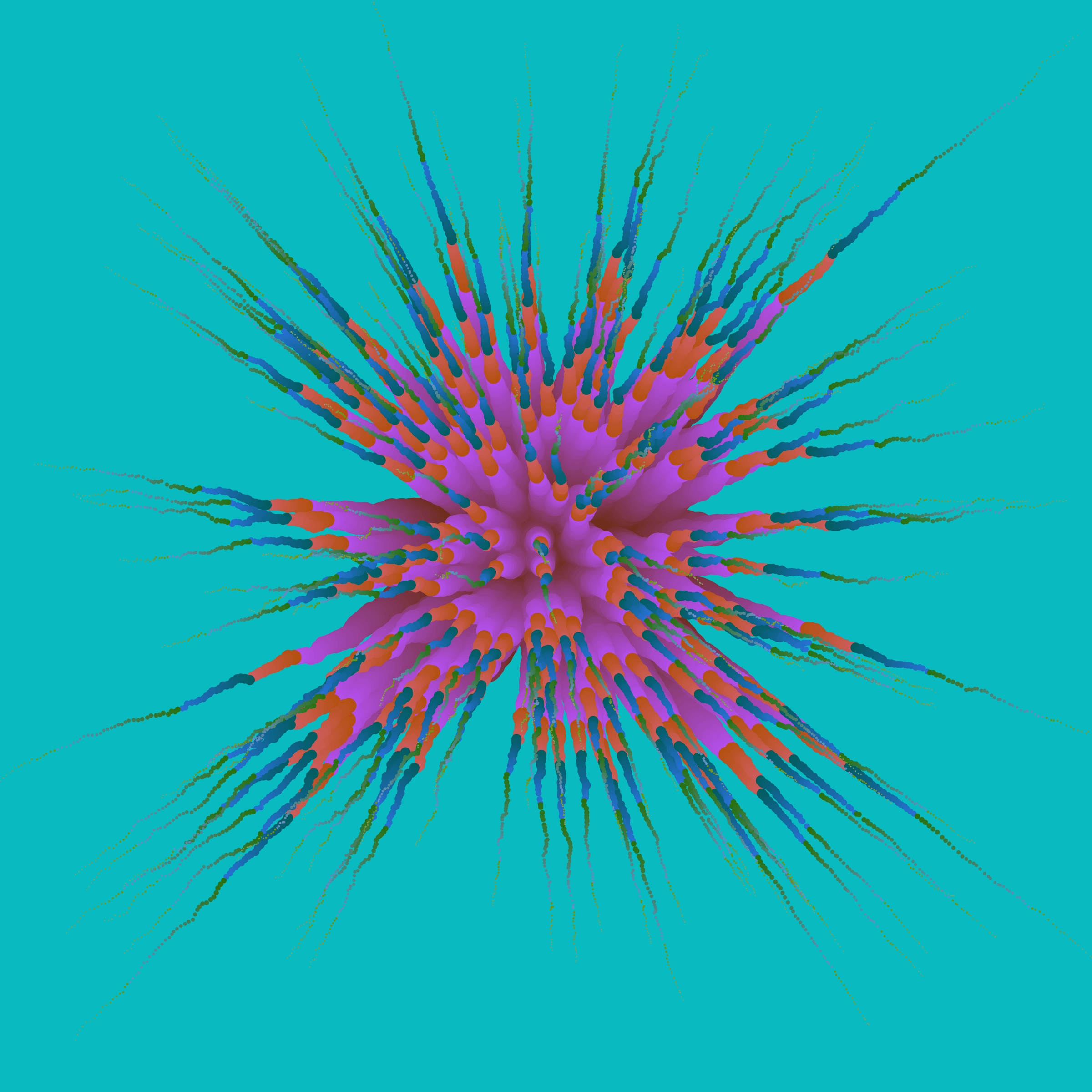 Star Flower