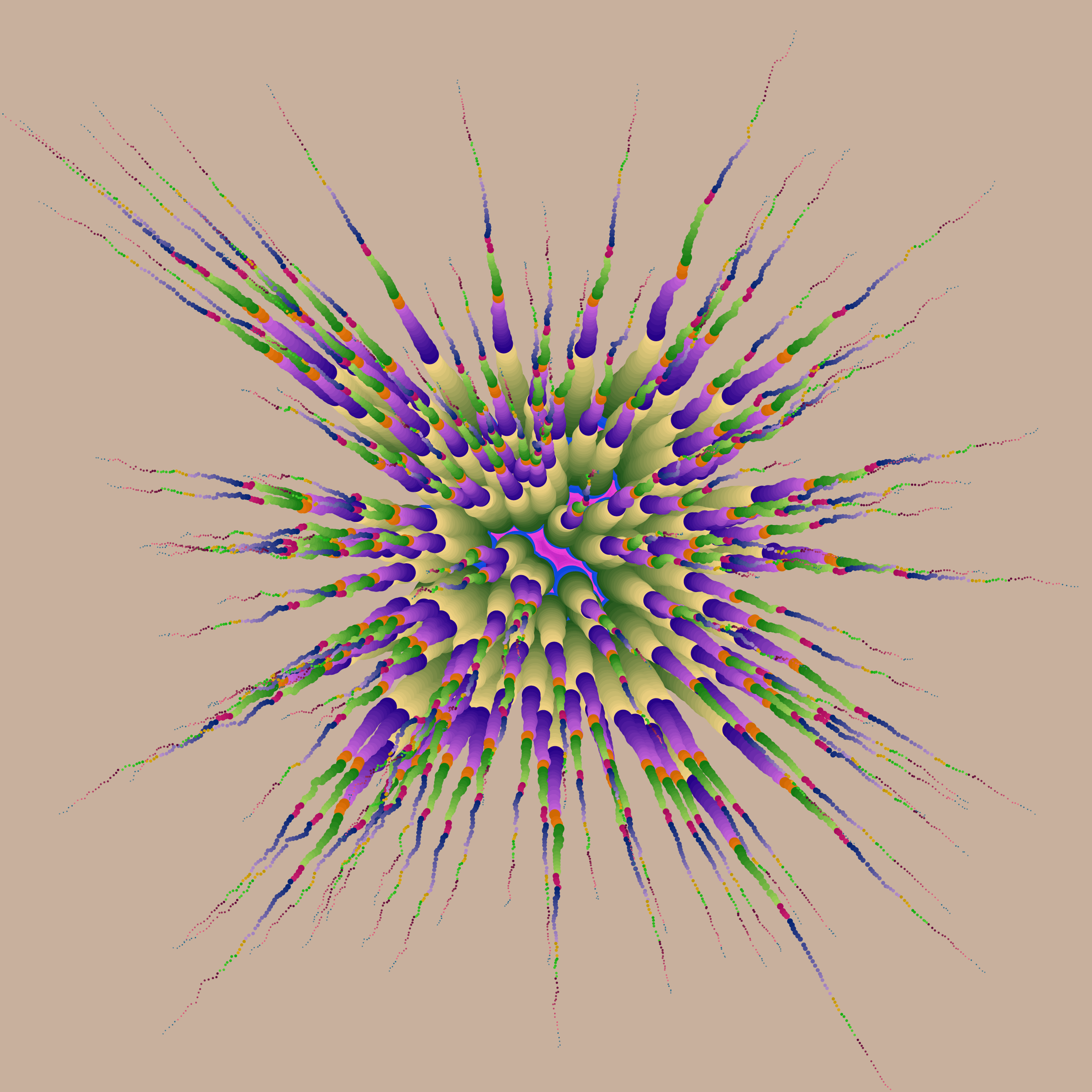 Star Flower