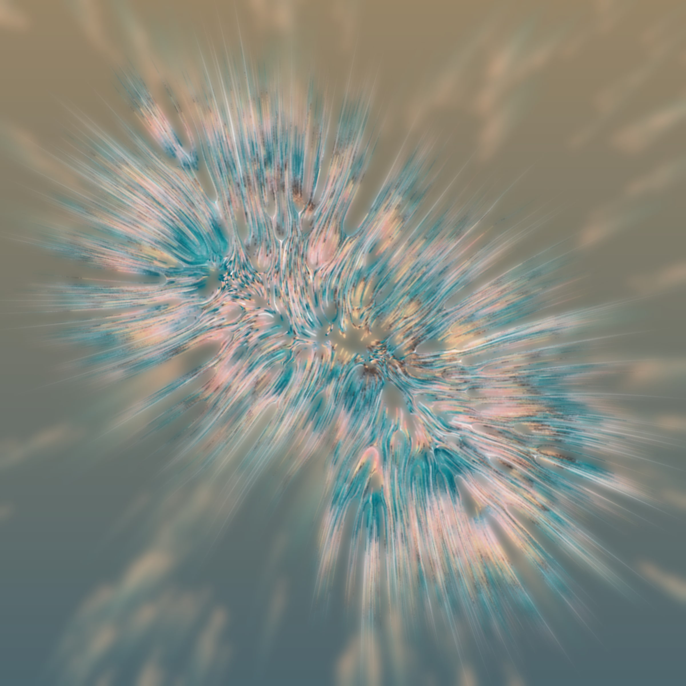 68000042
