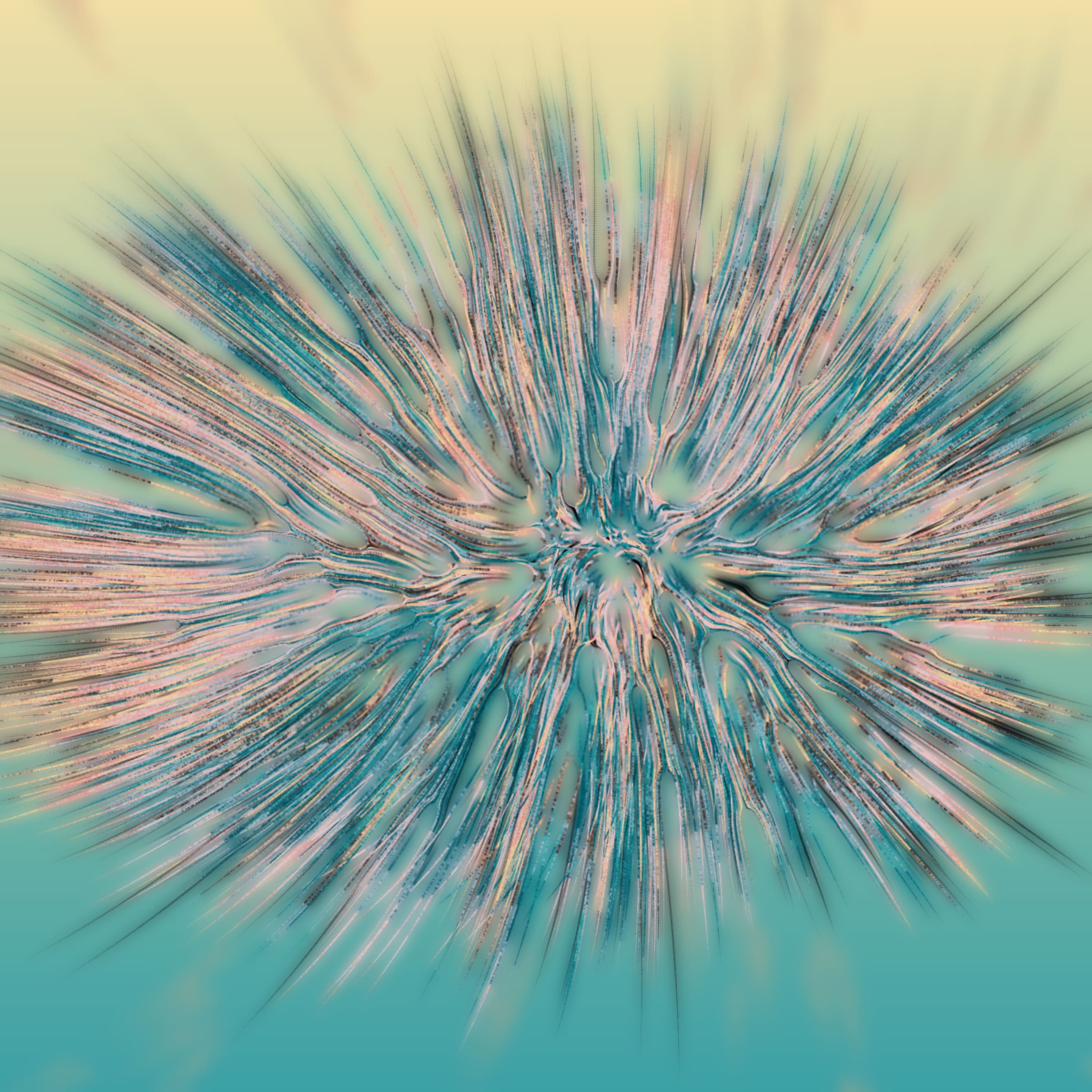 68000087