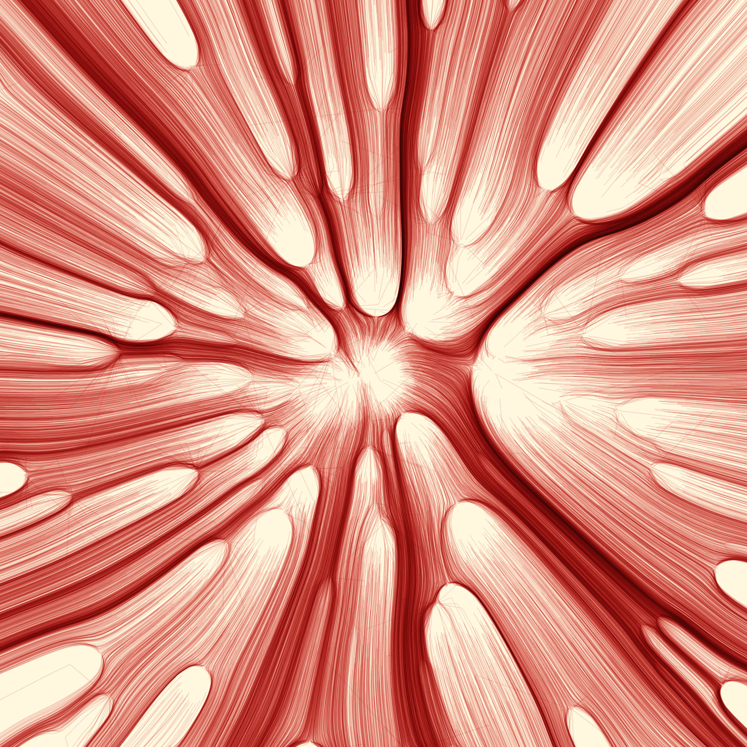 96000085