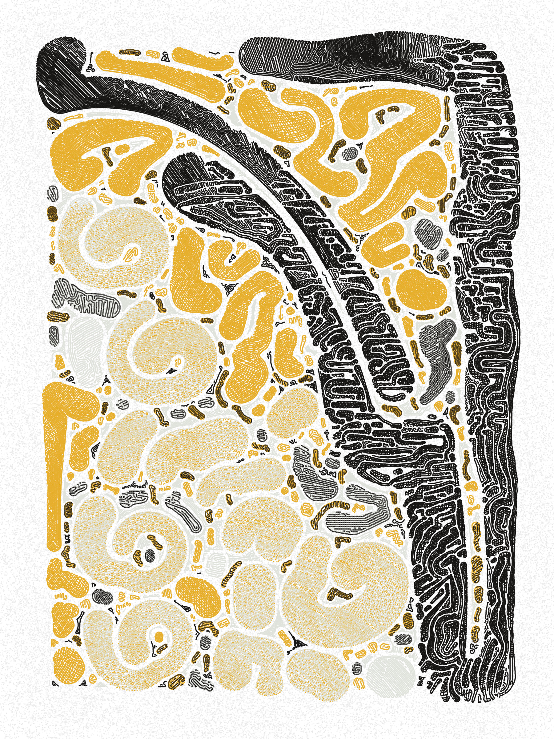Scribble Together #1000016