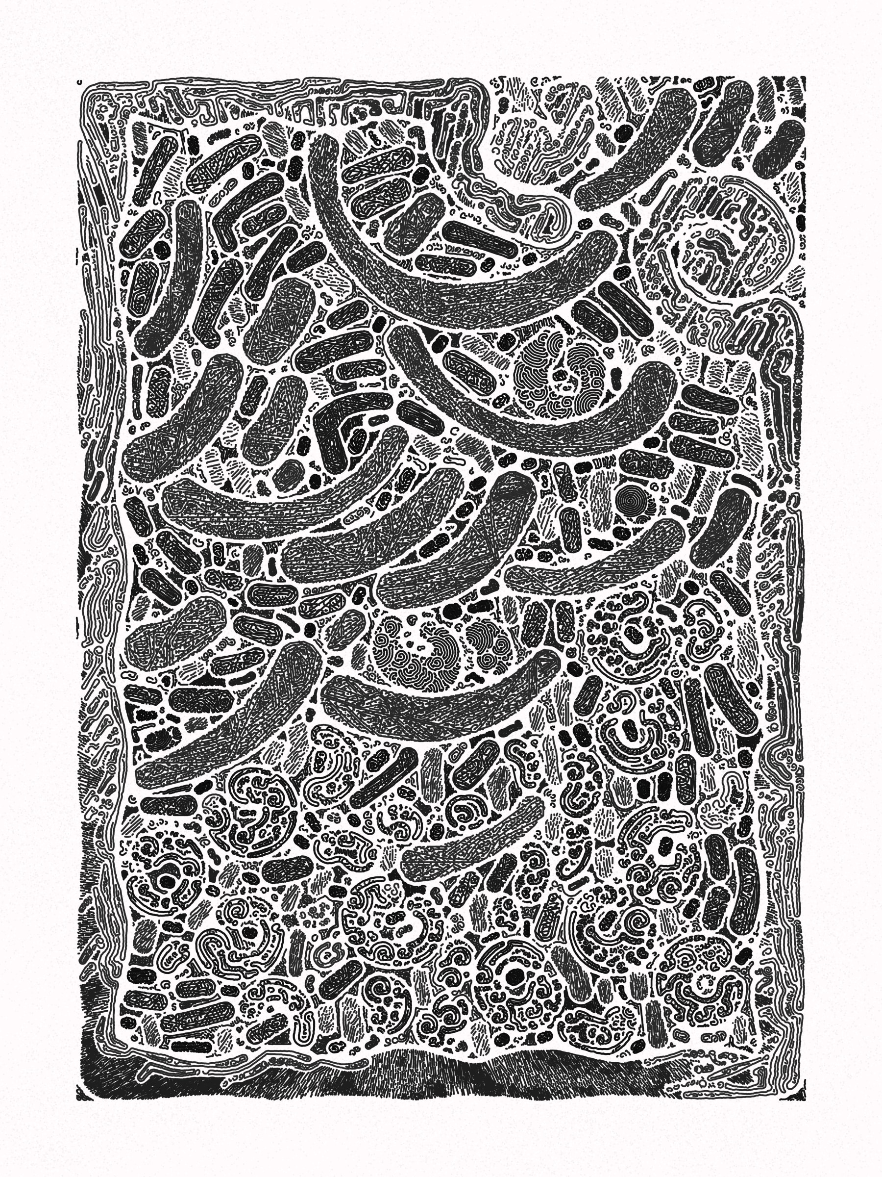 Scribble Together #1000099