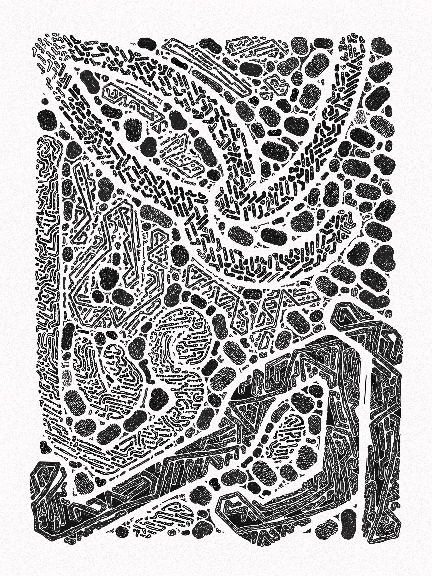 Scribble Together #1000117