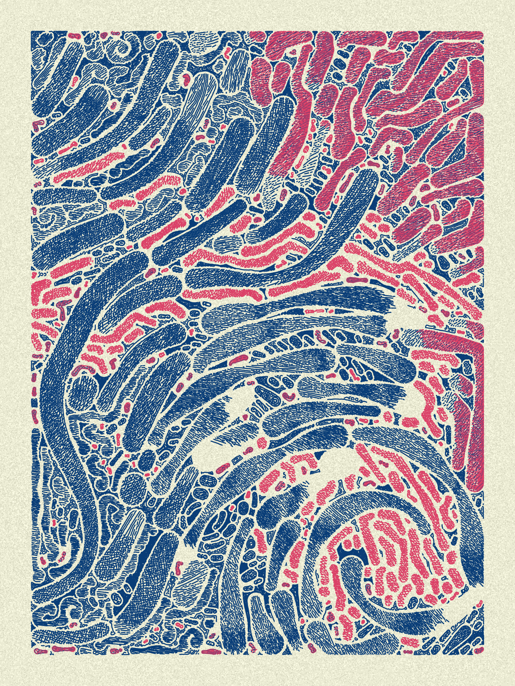 Scribble Together #1000228