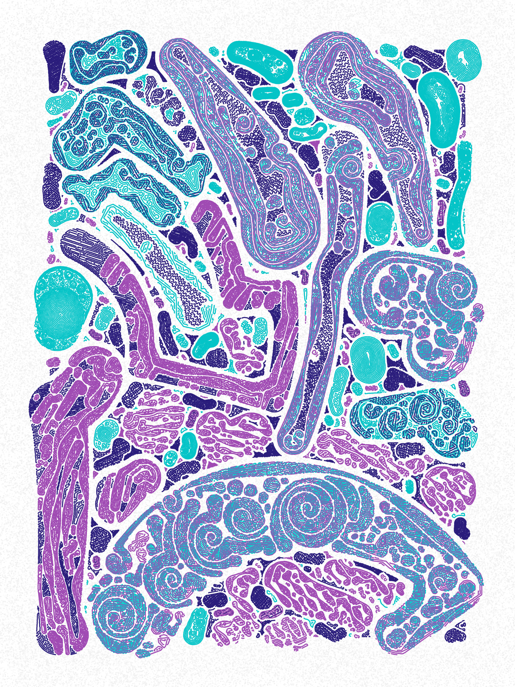 Scribble Together #1000241