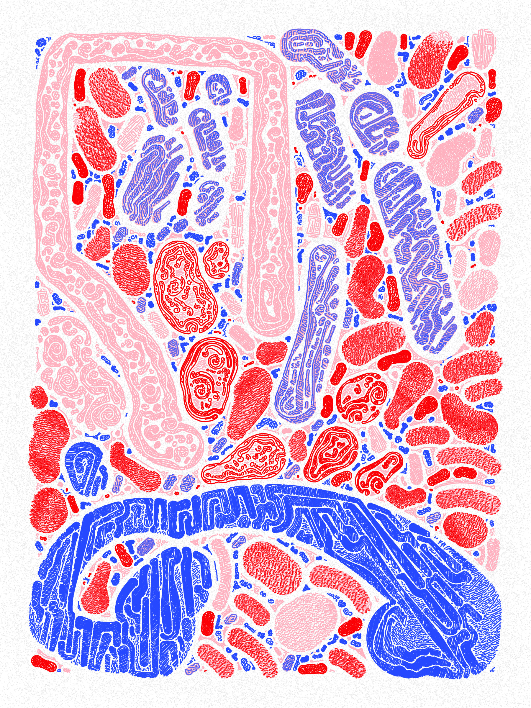 Scribble Together #1000300