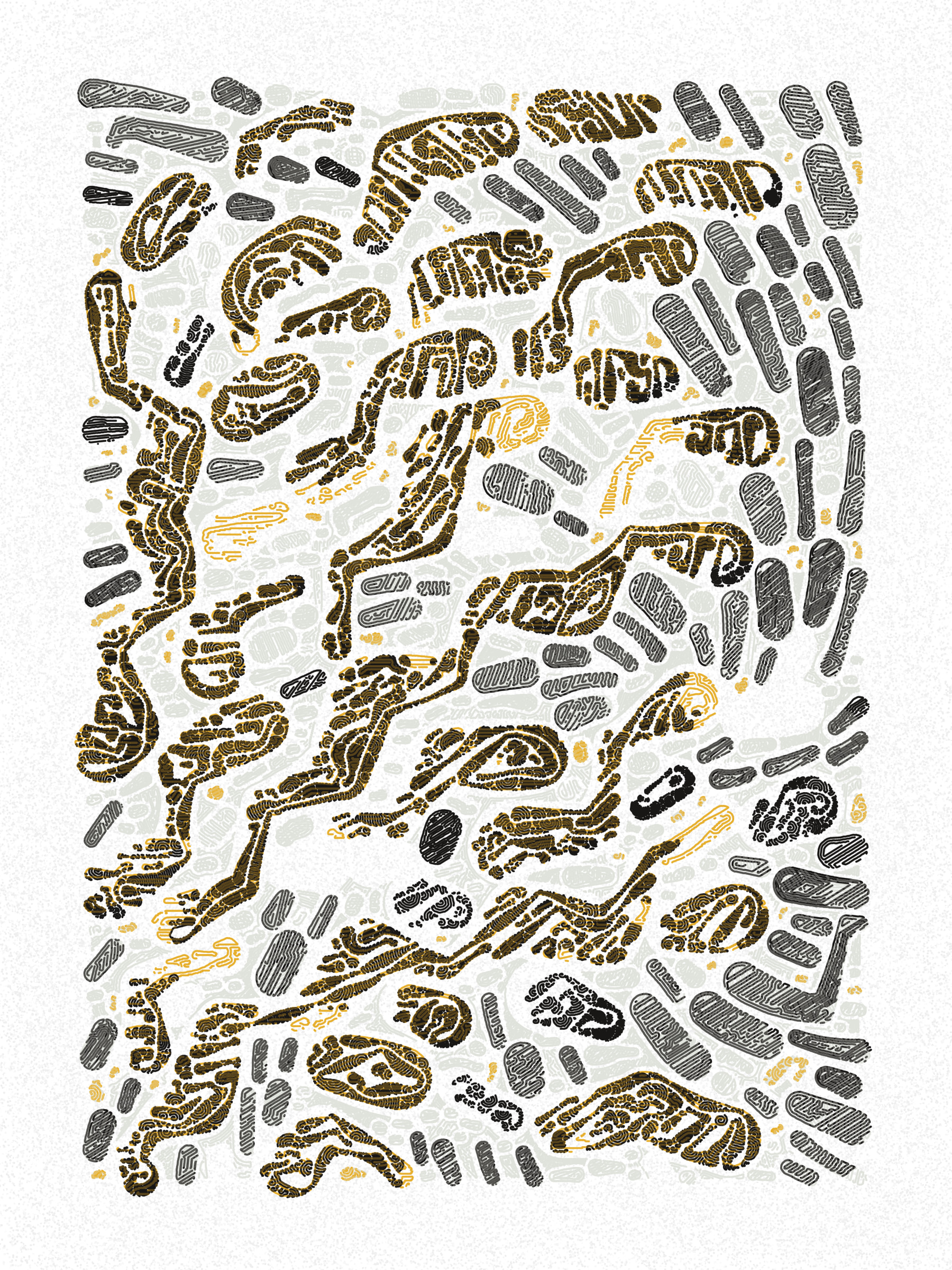 Scribble Together #1000333