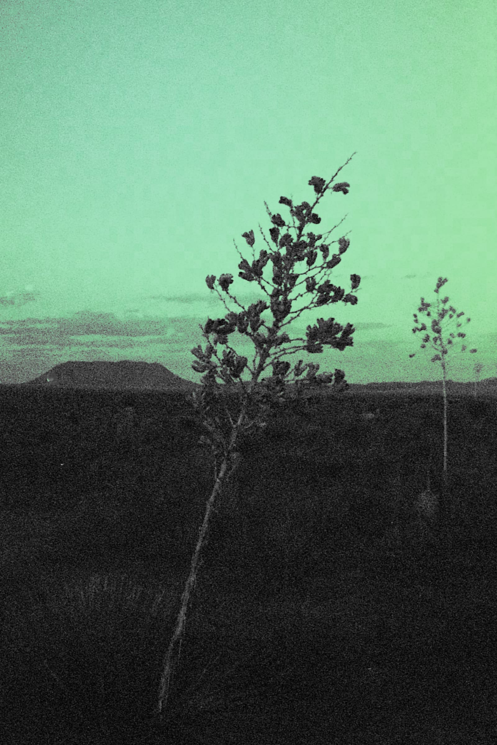 Marfa: Outtakes preview 6