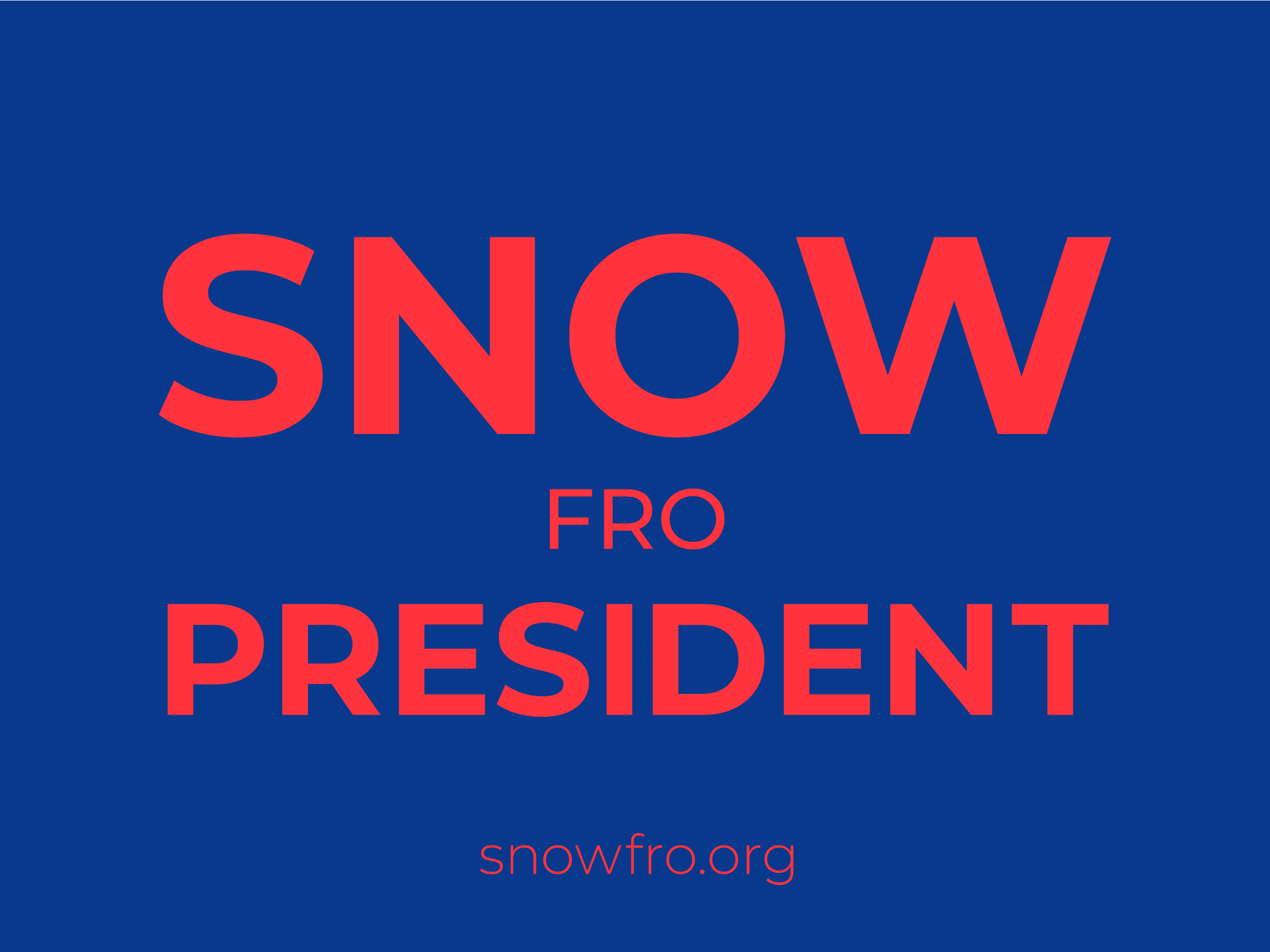 Snowfro for President preview 5
