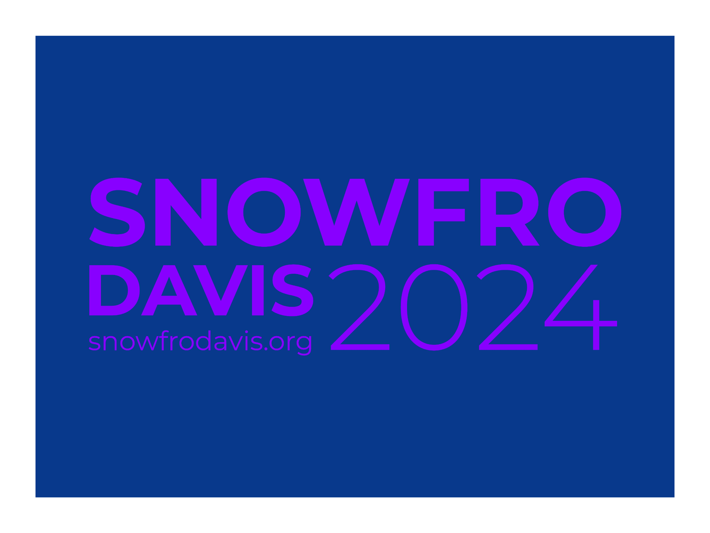 Snowfro for President preview 1