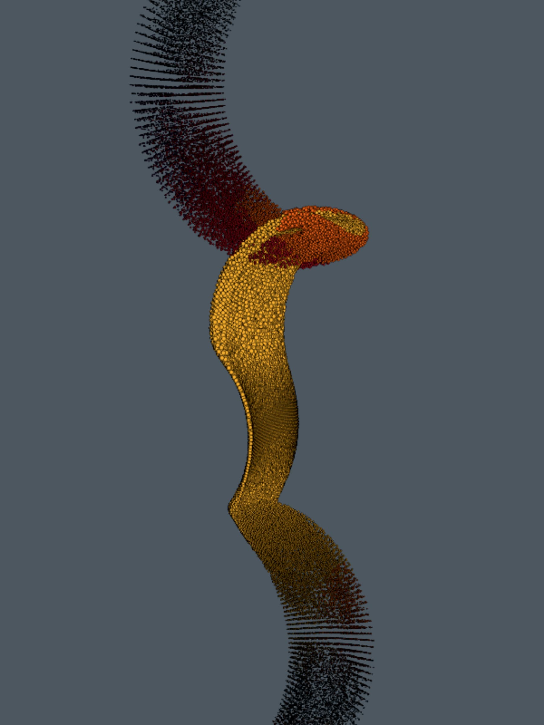 Whirlwinds preview 6