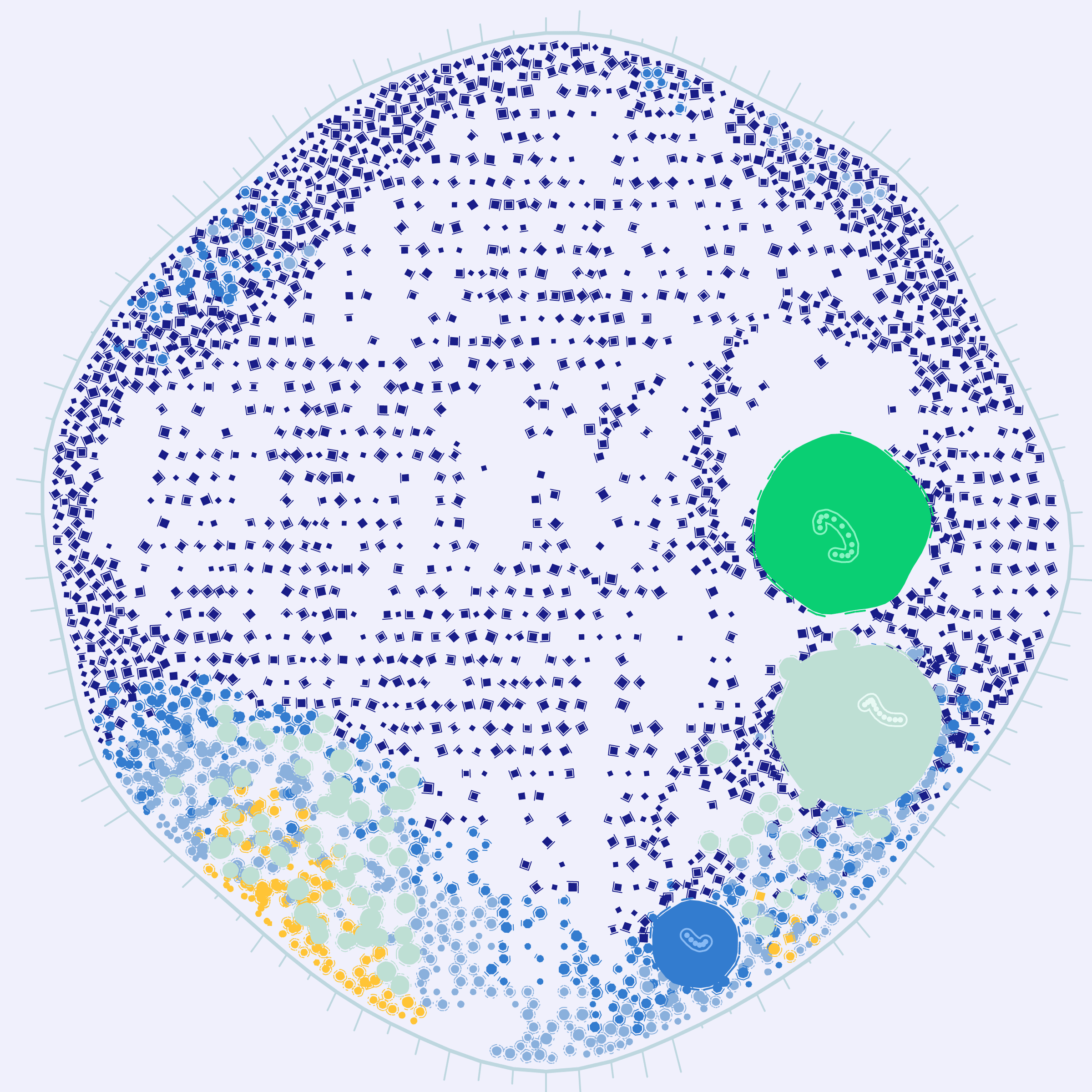 code_as_life preview 2
