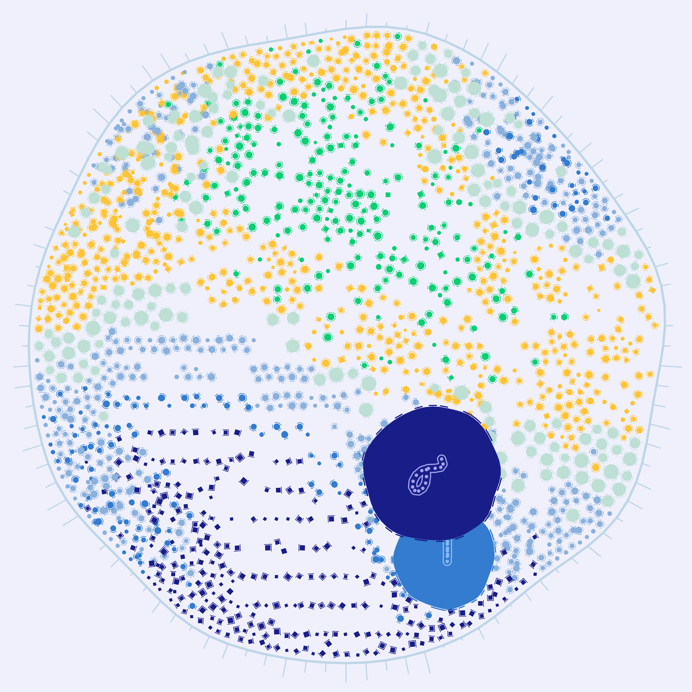 194000011