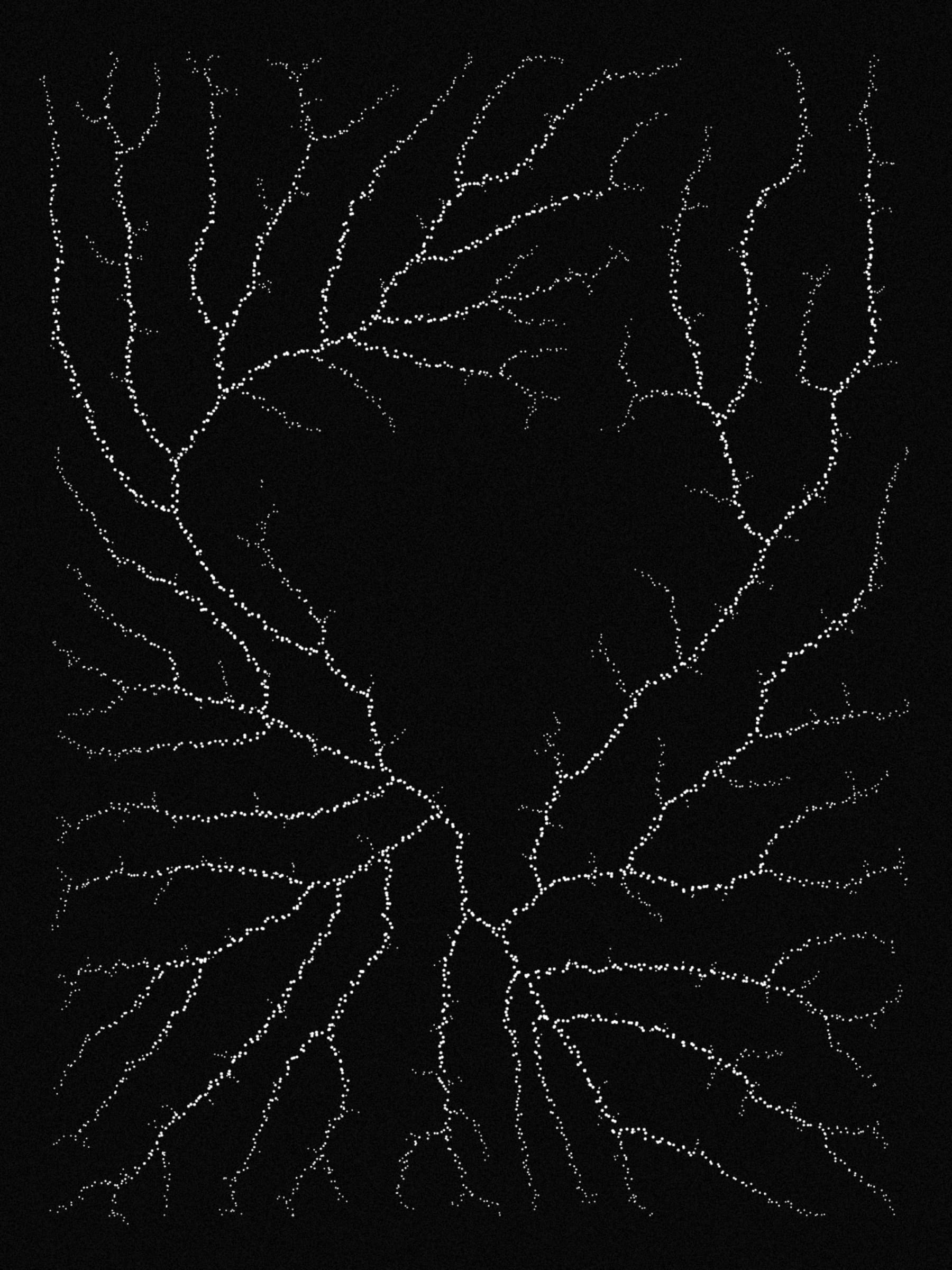 200000083