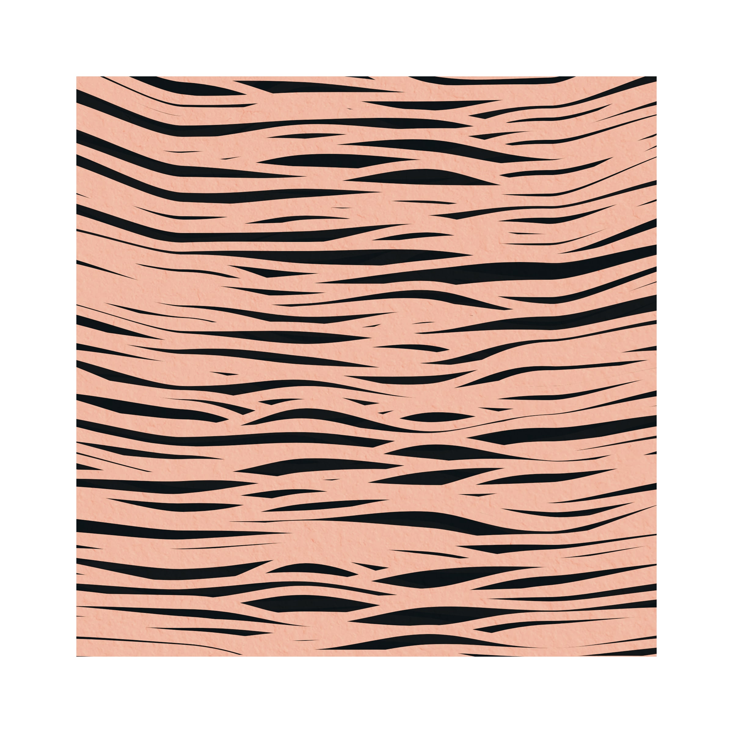 BELANG preview 1