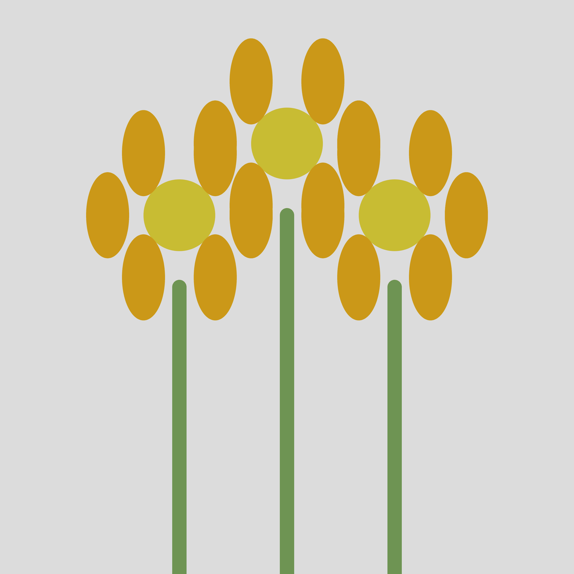 Flower Game
