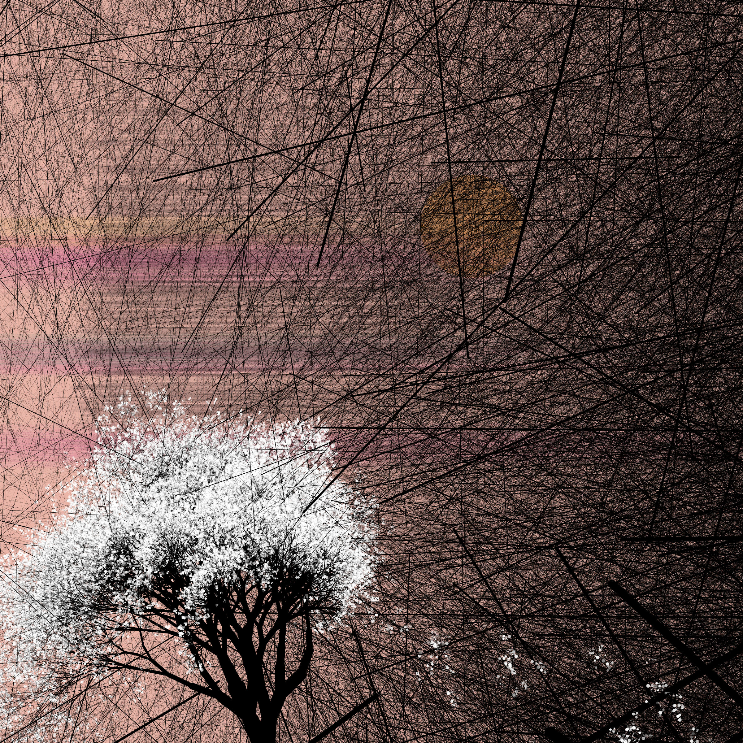 conversation with the wind preview 2