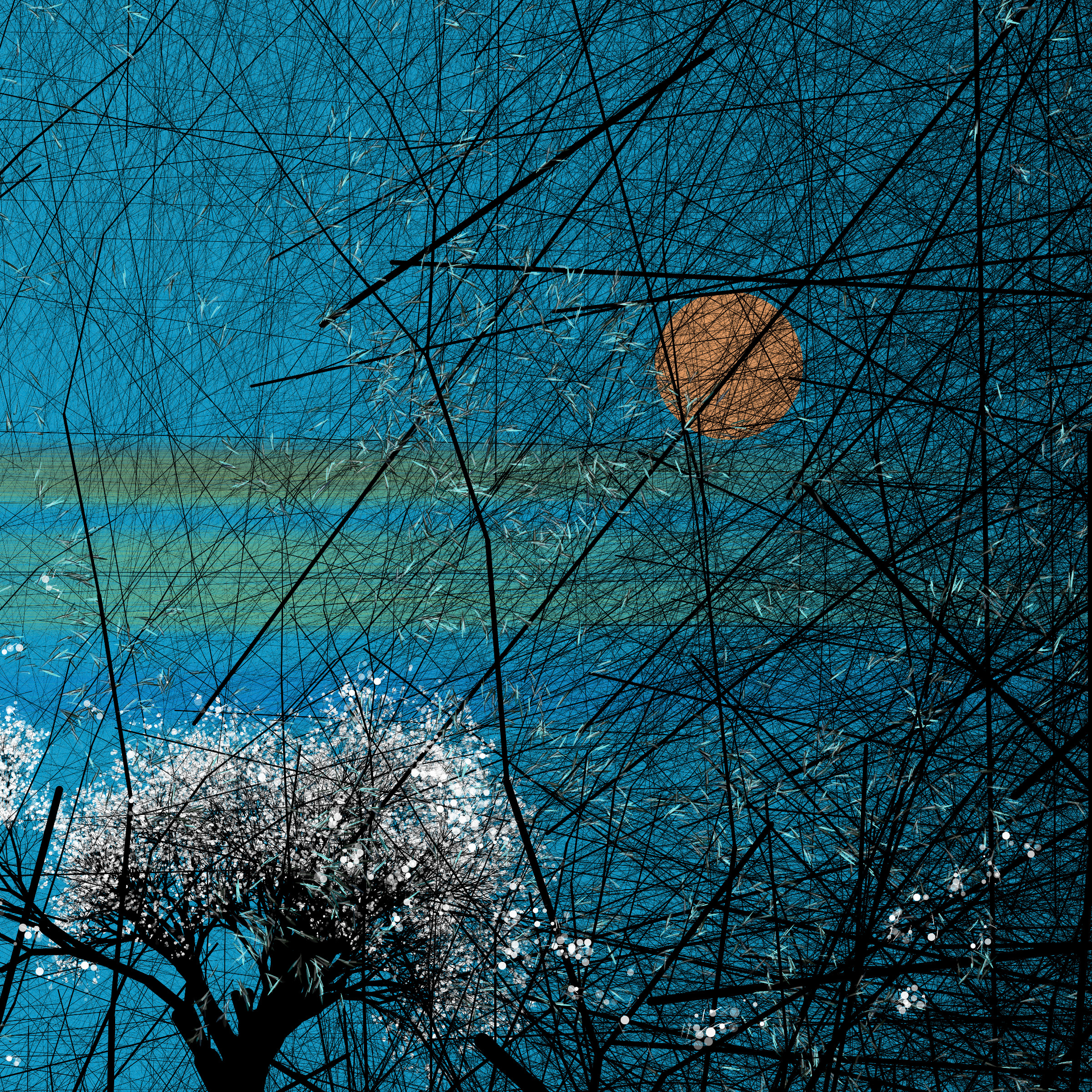 conversation with the wind