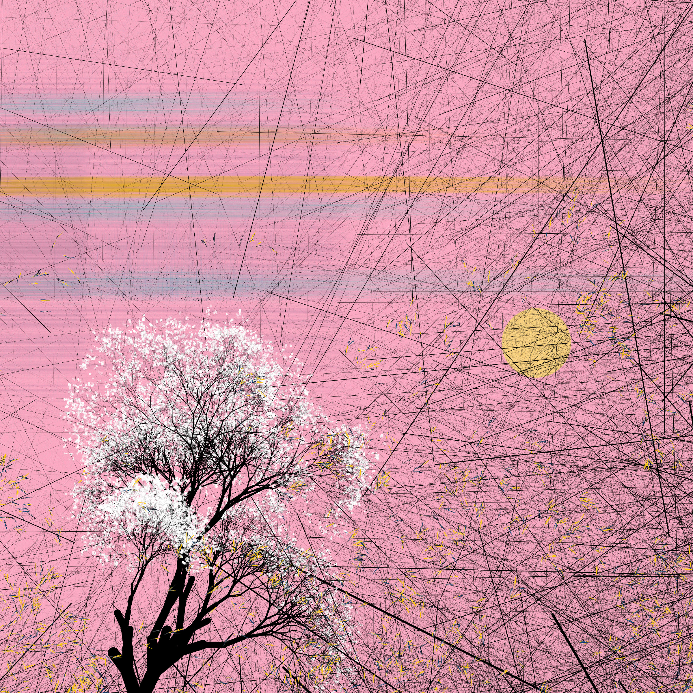 conversation with the wind