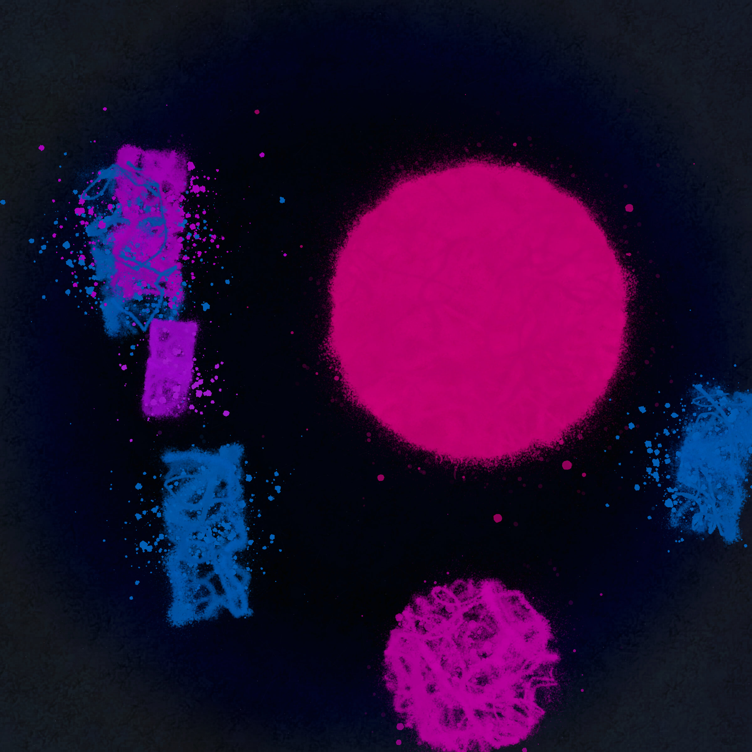 Polyphony #293000019