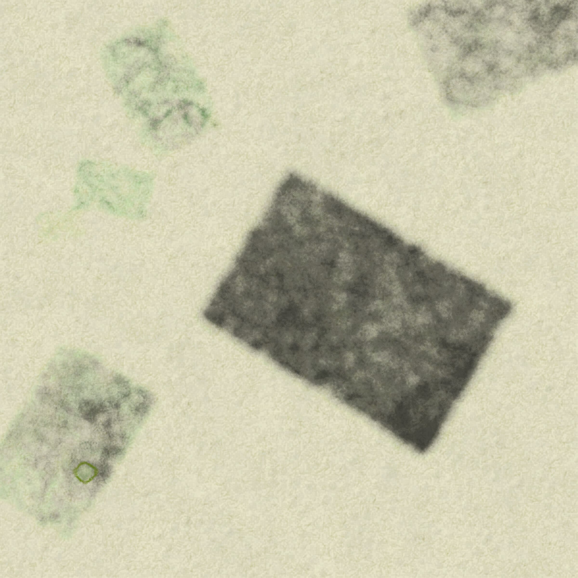 Polyphony #293000021