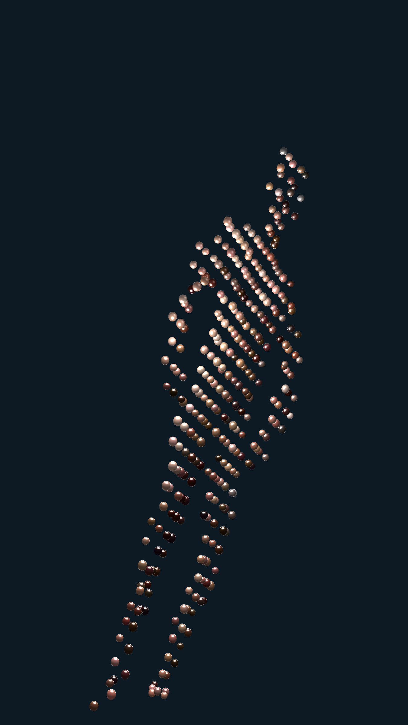 57000004