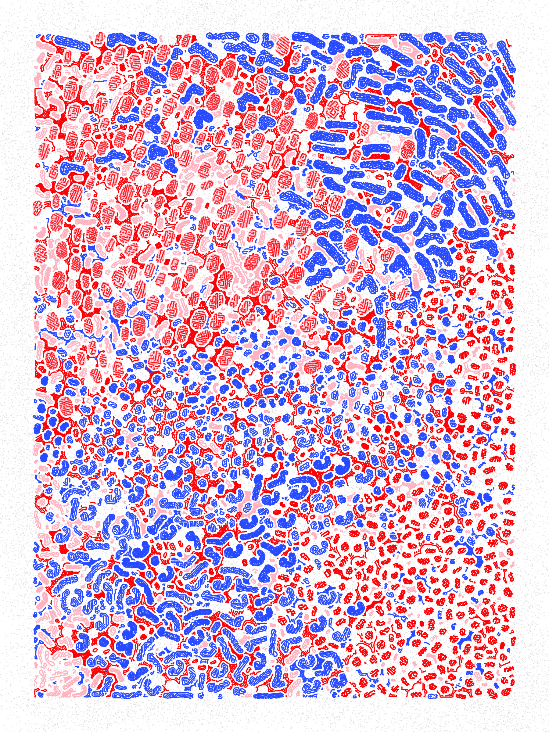 3000017