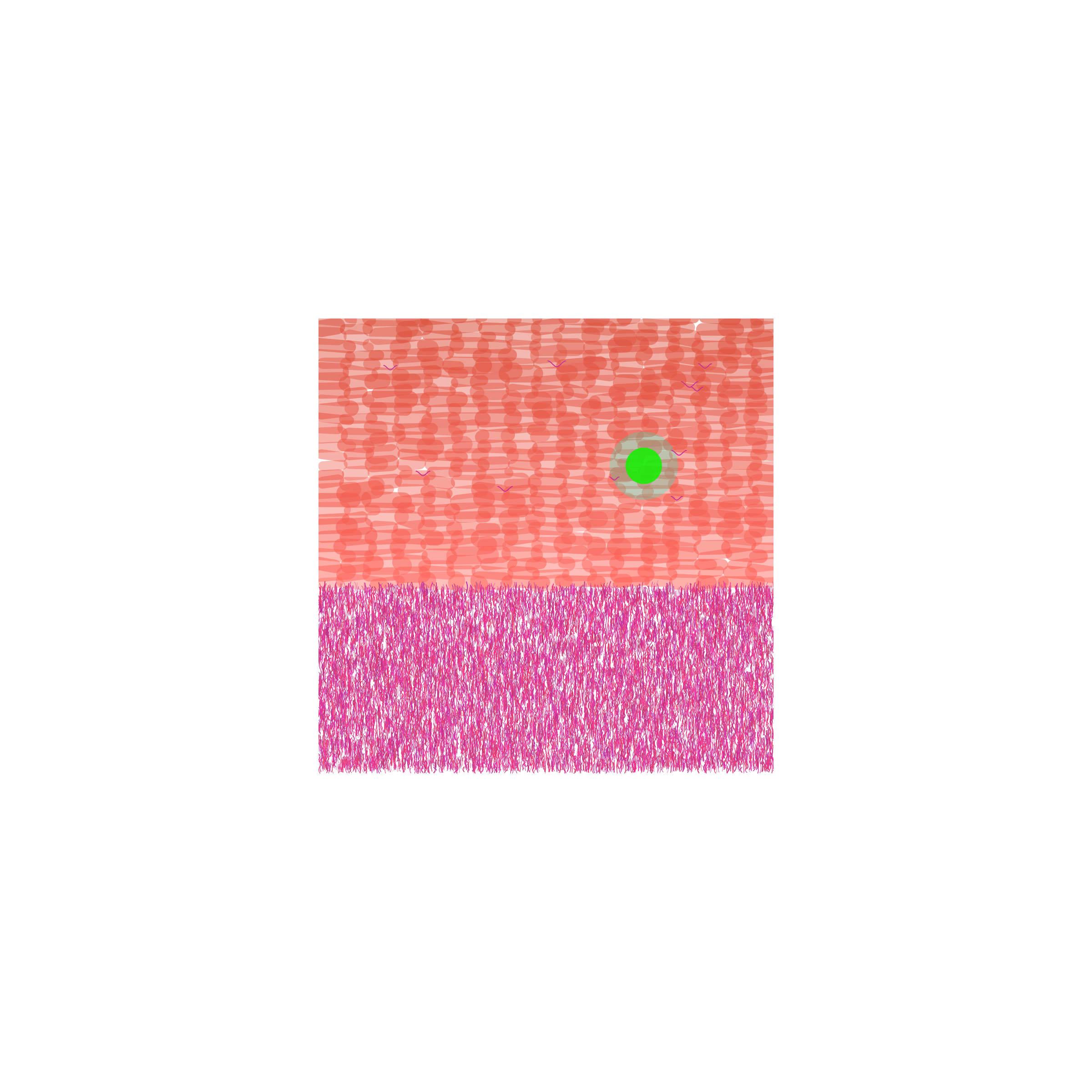 28000003