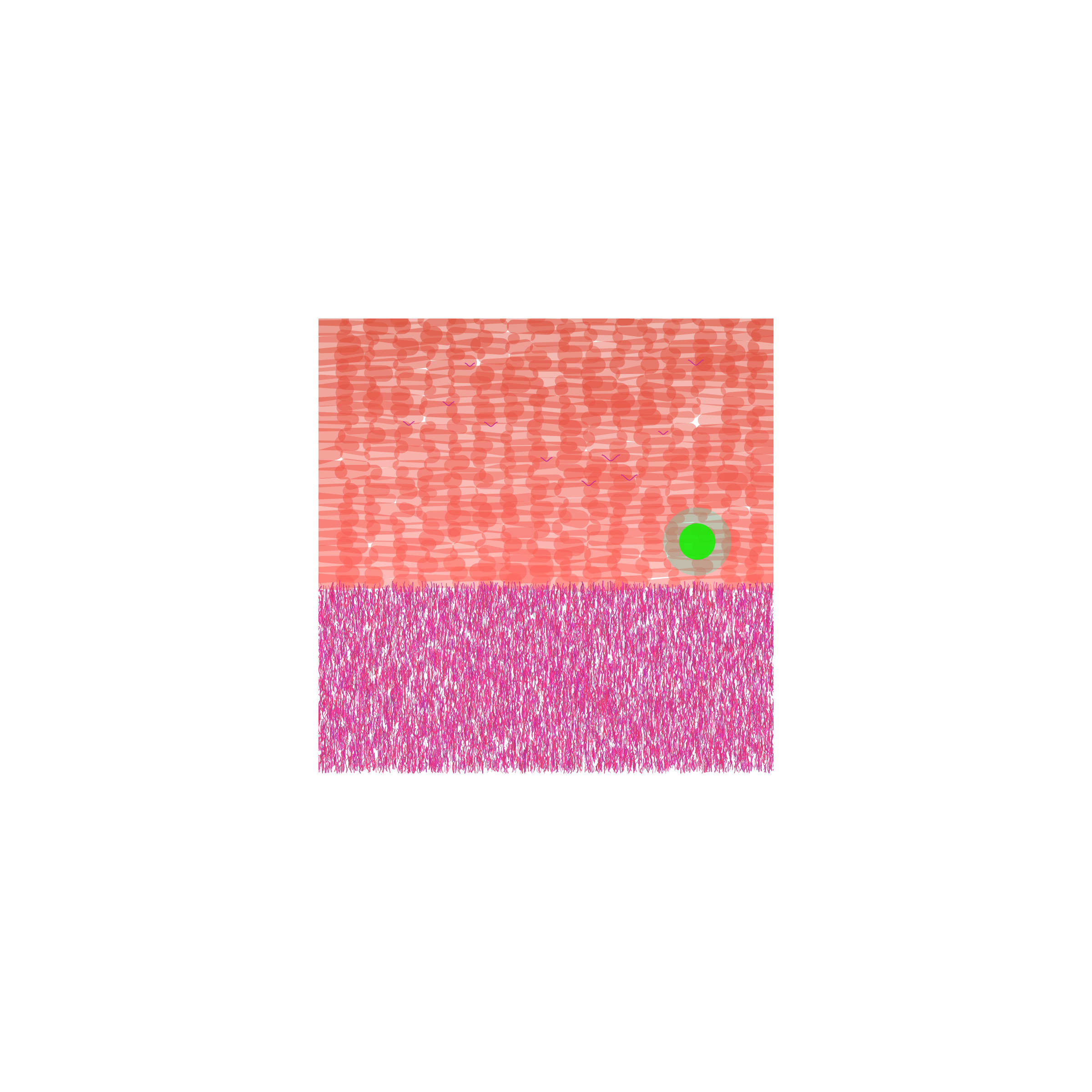 28000004