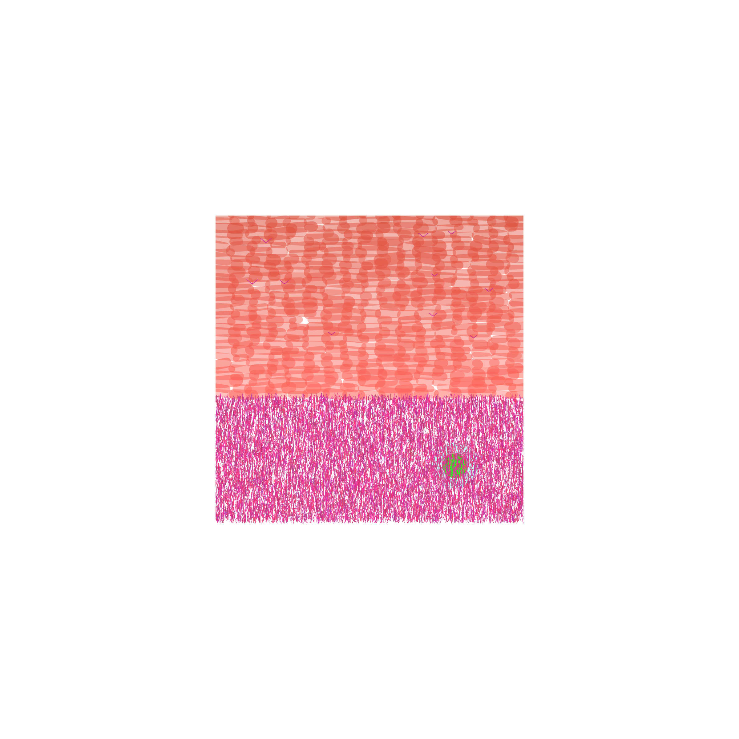 28000006